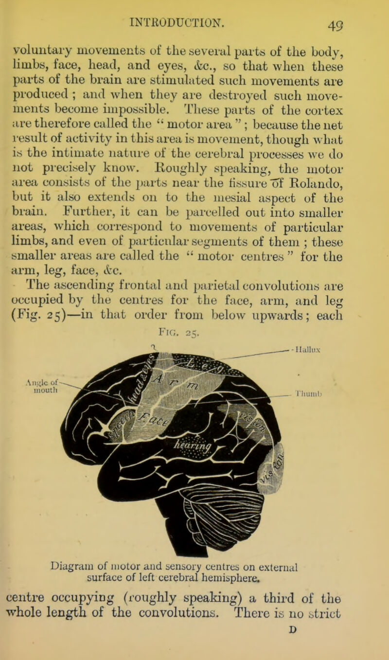 voluntary movements of the several parte of the body, limbs, face, head, and eyes, &c, so that when these parts of the brain are stimulated such movements are produced ; and when they are destroyed such move- ments become impossible. These parts of the cortex are therefore called the  motor area  ; because the net result of activity in this area is movement, though what is the intimate nature of the cerebral processes we do not precisely know. Roughly speaking, the motor area consists of the parts near the fissure of Rolando, but it also extends on to the mesial aspect of the brain. Further, it can be parcelled out into smaller areas, which correspond to movements of particular limbs, and even of particular segments of them ; these smaller areas are called the  motor centres  for the arm, leg, face, &c. The ascending frontal and parietal convolutions are occupied by the centres for the face, arm, and leg (Fig. 25)—in that order from below upwards; each Fig. 25. Diagram of motor and sensory centres on external surface of left cerebral hemisphere. centre occupying (roughly speaking) a third of the whole length of the convolutions. There is no strict