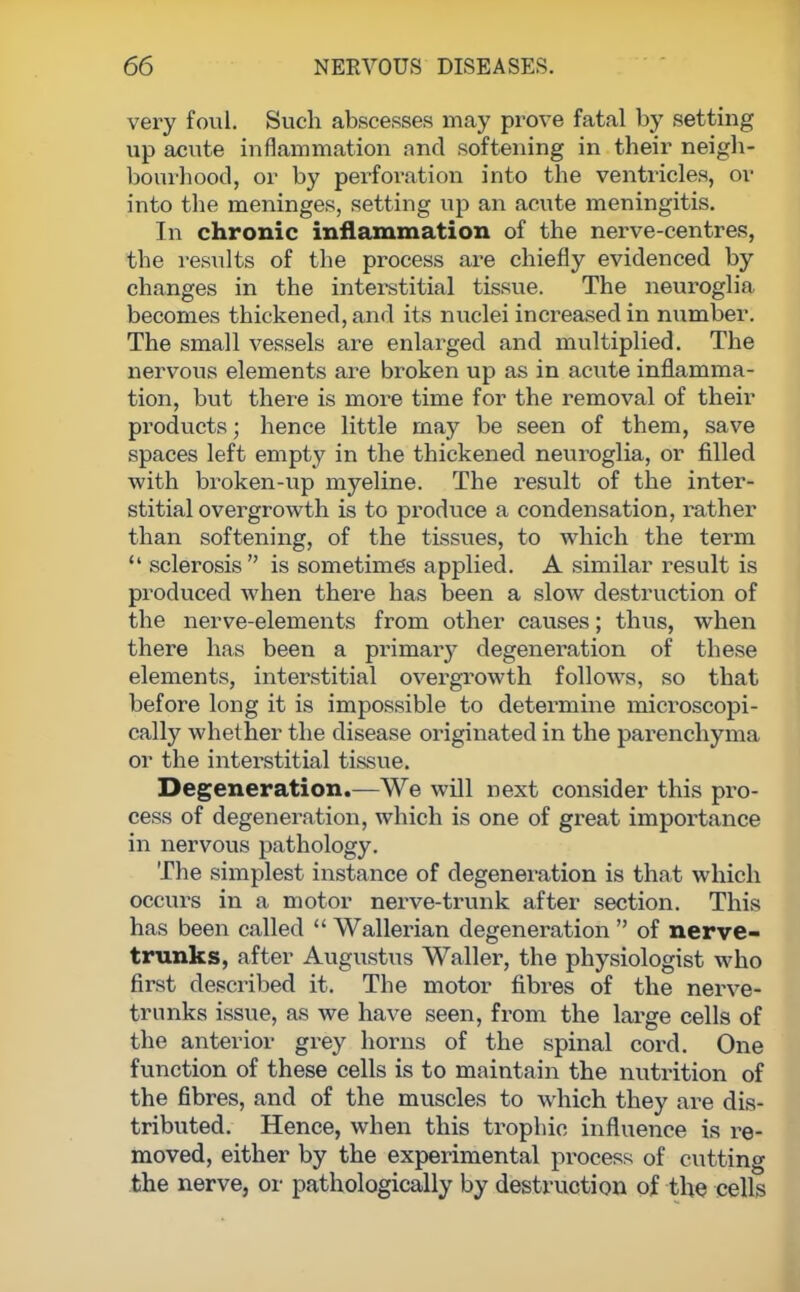 very foul. Such abscesses may prove fatal by setting up acute inflammation and softening in their neigh- bourhood, or by perforation into the ventricles, or into the meninges, setting up an acute meningitis. In chronic inflammation of the nerve-centres, the results of the process ax*e chiefly evidenced by changes in the interstitial tissue. The neuroglia becomes thickened, and its nuclei increased in number. The small vessels are enlarged and multiplied. The nervous elements are broken up as in acute inflamma- tion, but there is more time for the removal of their products; hence little may be seen of them, save spaces left empty in the thickened neuroglia, or filled with broken-up myeline. The result of the inter- stitial overgrowth is to produce a condensation, rather than softening, of the tissues, to which the term  sclerosis is sometimes applied. A similar result is produced when there has been a slow destruction of the nerve-elements from other causes; thus, when there has been a primary degeneration of these elements, interstitial overgrowth follows, so that before long it is impossible to determine microscopi- cally whether the disease originated in the parenchyma or the interstitial tissue. Degeneration.—We will next consider this pro- cess of degeneration, which is one of great importance in nervous pathology. The simplest instance of degeneration is that which occurs in a motor nerve-trunk after section. This has been called  Wallerian degeneration  of nerve- trunks, after Augustus Waller, the physiologist who first described it. The motor fibres of the nerve- trunks issue, as we have seen, from the large cells of the anterior grey horns of the spinal cord. One function of these cells is to maintain the nutrition of the fibres, and of the muscles to which they are dis- tributed. Hence, when this trophic influence is re- moved, either by the experimental process of cutting the nerve, or pathologically by destruction of the cells