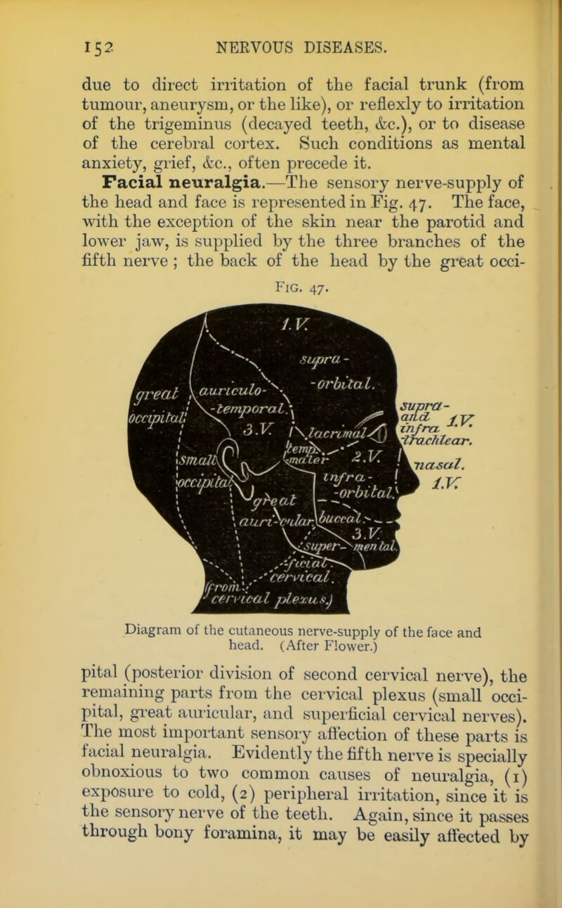 due to direct irritation of the facial trunk (from tumour, aneurysm, or the like), or reflexly to irritation of the trigeminus (decayed teeth, &c), or to disease of the cerebral cortex. Such conditions as mental anxiety, grief, <kc., often precede it. Facial neuralgia.—The sensory nerve-supply of the head and face is represented in Fig. 47. The face, with the exception of the skin near the parotid and lower jaw, is supplied by the three branches of the fifth nerve ; the back of the head by the great occi- Fig. 47. Diagram of the cutaneous nerve-supply of the face and head. (After Flower.) pital (posterior division of second cervical nerve), the remaining parts from the cervical plexus (small occi- pital, great auricular, and superficial cervical nerves). The most important sensory affection of these parts is facial neuralgia. Evidently the fifth nerve is specially obnoxious to two common causes of neuralgia, (1) exposure to cold, (2) peripheral irritation, since it is the sensory nerve of the teeth. Again, since it passes through bony foramina, it may be easily affected by