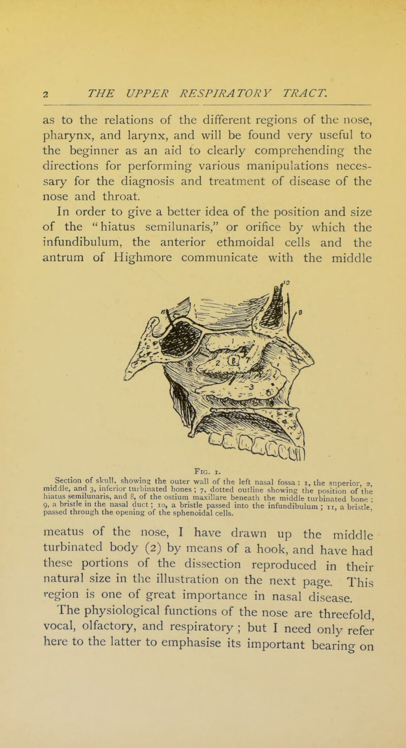 as to the relations of the different regions of the nose, pharynx, and larynx, and will be found very useful to the beginner as an aid to clearly comprehending the directions for performing various manipulations neces- sary for the diagnosis and treatment of disease of the nose and throat. In order to give a better idea of the position and size of the hiatus semilunaris, or orifice by which the infundibulum, the anterior ethmoidal cells and the antrum of Highmore communicate with the middle Fig. i. Section of skull, showing the outer wall of the left nasal fossa : i, the superior, 2, middle, and 3, inferior turbinated bones; 7. dotted outline showing the position of the hiatus semilunaris, and S, of the ostium maxiliare beneath the middle turbinated bono • 9, a bristle in the nasal duct ; 10, a bristle passed into the infundibulum : 11 a bridle passed through the opening of the sphenoidal cells. meatus of the nose, I have drawn up the middle turbinated body (2) by means of a hook, and have had these portions of the dissection reproduced in their natural size in the illustration on the next page. This region is one of great importance in nasal disease. The physiological functions of the nose are threefold, vocal, olfactory, and respiratory ; but I need only refer here to the latter to emphasise its important bearing on