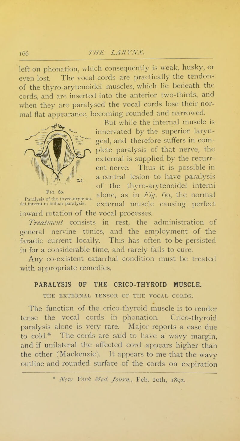 left on phonation, which consequently is weak, husk}-, el- even lost. The vocal cords are practically the tendons of the thyro-arytcnoidei muscles, which lie beneath the cords, and arc inserted into the anterior two-thirds, and when they are paralysed the vocal cords lose their nor- mal flat appearance, becoming rounded and narrowed. But while the internal muscle is innervated by the superior laryn- geal, and therefore suffers in com- plete paralysis of that nerve, the external is supplied by the recurr- ent nerve. Thus it is possible in a central lesion to have paralysis of the thyro-arytenoidei interni alone, as in Fig. 60, the normal external muscle causing perfect inward rotation of the vocal processes. Treatment consists in rest, the administration of general nervine tonics, and the employment of the faradic current locally. This has often to be persisted in for a considerable time, and rarely fails to cure. Any co-existent catarrhal condition must be treated with appropriate remedies. Fig. 60. Paralysis of tlie thyro-arytenoi dei intcrni in bulbar paralysis. PARALYSIS OF THE CRICO-THYROID MUSCLE. THE EXTERNAL TENSOR OF THE VOCAL CORDS. The function of the crico-thyroid muscle is to render tense the vocal cords in phonation. Crico-thyroid paralysis alone is very rare. Major reports a case due to cold.* The cords arc said to have a wavy margin, and if unilateral the affected cord appears higher than the other (Mackenzie). It appears to me that the wavy outline and rounded surface of the cords on expiration * New York Med. fount., Feb. 20th, 1892.