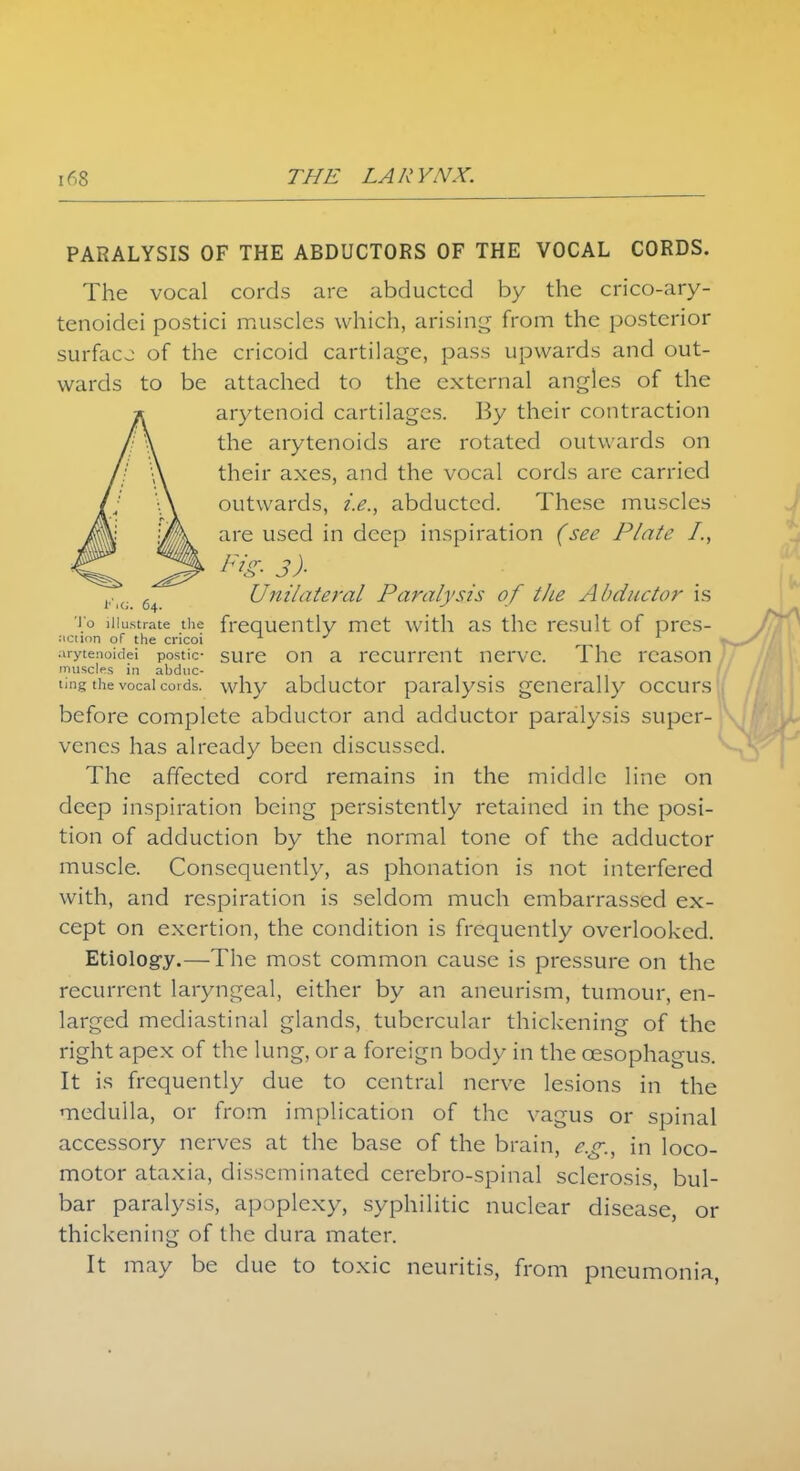 PARALYSIS OF THE ABDUCTORS OF THE VOCAL CORDS. The vocal cords are abducted by the crico-ary- tenoidci postici muscles which, arising from the posterior surface of the cricoid cartilage, pass upwards and out- wards to be attached to the external angles of the arytenoid cartilages. By their contraction the arytenoids are rotated outwards on their axes, and the vocal cords are carried outwards, i.e., abducted. These muscles are used in deep inspiration (see Plate /., Pig- J)- Unilateral Paralysis of the Abductor is To illustrate the frequently met with as the result of pres- iictlon of the cricoi 1 J \* arytenoids postic- sure on a recurrent nerve. The reason muscles in abduc- . ting the vocal cords, why abductor paralysis generally occurs before complete abductor and adductor paralysis super- venes has already been discussed. The affected cord remains in the middle line on deep inspiration being persistently retained in the posi- tion of adduction by the normal tone of the adductor muscle. Consequently, as phonation is not interfered with, and respiration is seldom much embarrassed ex- cept on exertion, the condition is frequently overlooked. Etiology.—The most common cause is pressure on the recurrent laryngeal, either by an aneurism, tumour, en- larged mediastinal glands, tubercular thickening of the right apex of the lung, or a foreign body in the oesophagus. It is frequently due to central nerve lesions in the medulla, or from implication of the vagus or spinal accessory nerves at the base of the brain, e.g., in loco- motor ataxia, disseminated cerebro-spinal sclerosis, bul- bar paralysis, apoplexy, syphilitic nuclear disease, or thickening of the dura mater. It may be due to toxic neuritis, from pneumonia,