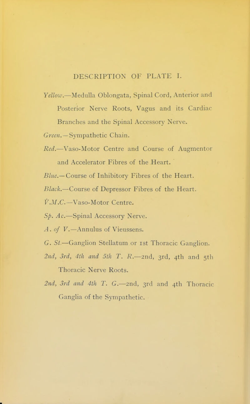 Yellow.—Medulla Oblongata, Spinal Cord, Anterior and Posterior Nerve Roots, Vagus and its Cardiac Branches and the Spinal Accessory Nerve. (,Ween. — Sympathetic Chain. Red.—Vaso-Motor Centre and Course of Augmentor and Accelerator Fibres of the Heart. Blue.— Course of Inhibitory Fibres of the Heart. Black.—Course of Depressor Fibres of the Heart. ty.M.C.— Vaso-Motor Centre. Sp. Ac.—Spinal Accessory Nerve. A. of V.—Annulus of Vieussens. G. St.—Ganglion Stellatum or ist Thoracic Ganglion. 2nd, 3rd, 4th and 5th T. R.—2nd, 3rd, 4th and 5th Thoracic Nerve Roots. 2nd, 3rd and 4th T. G.—2nd, 3rd and 4th Thoracic Ganglia of the Sympathetic.