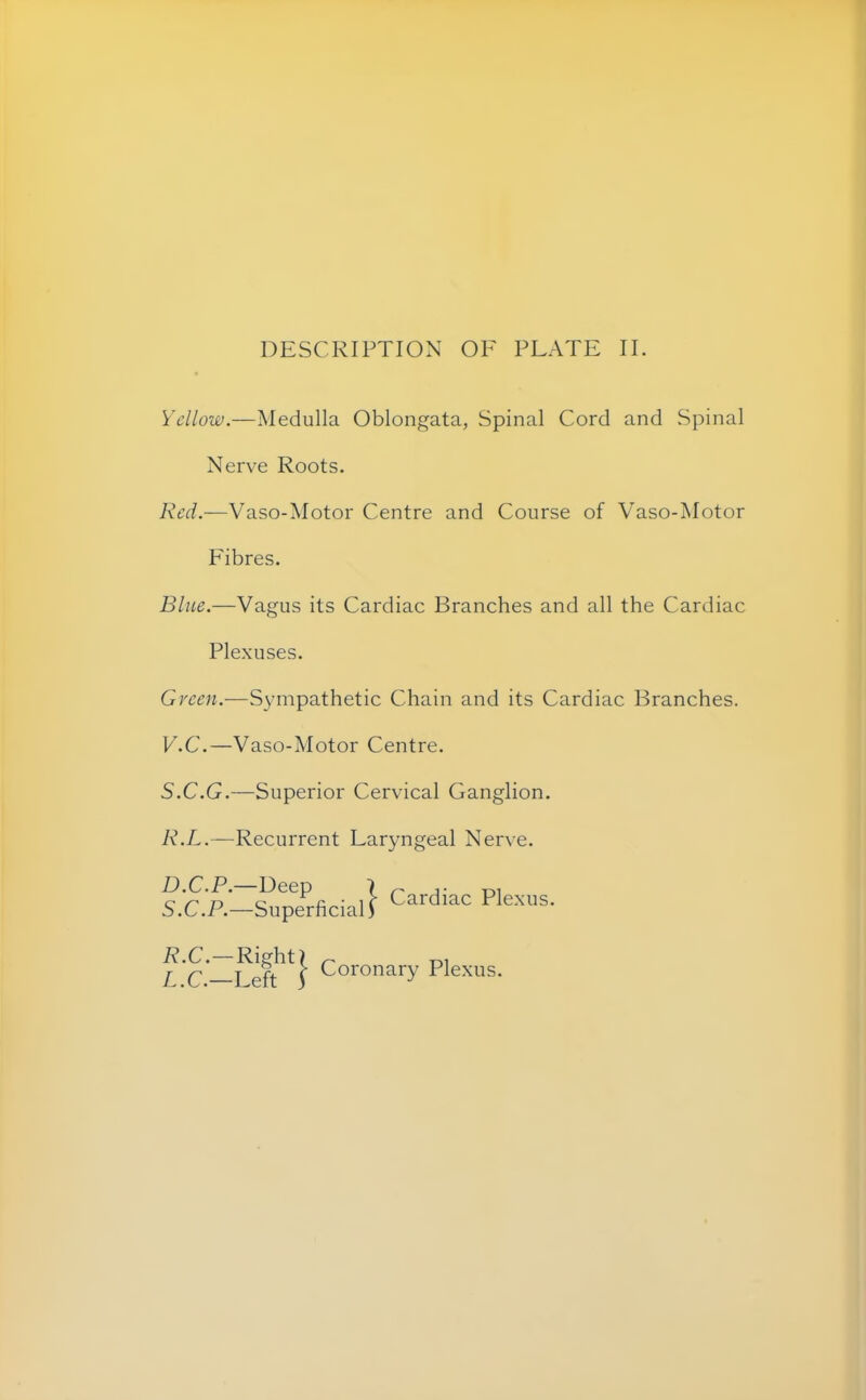 Yellow.—Medulla Oblongata, Spinal Cord and Spinal Nerve Roots. Red.—Vaso-Motor Centre and Course of Vaso-Motor Fibres. Blue.—Vagus its Cardiac Branches and all the Cardiac Plexuses. Green.-—Sympathetic Chain and its Cardiac Branches. V.C.—Vaso-Motor Centre. S.C.G.—Superior Cervical Ganglion. R.L.—Recurrent Laryngeal Nerve.