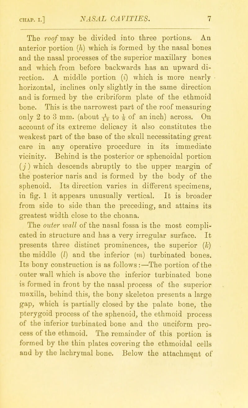 The roof may be divided into three portions. An anterior portion (h) which is formed by the nasal bones and the nasal processes of the superior maxillary bones and which from before backwards has an upward di- rection. A middle portion (i) which is more nearly horizontal, inclines only slightly in the same direction and is formed by the cribriform plate of the ethmoid bone. This is the narrowest part of the roof measuring only 2 to 3 mm. (about ^ to -§■ of an inch) across. On account of its extreme delicacy it also constitutes the weakest part of the base of the skull necessitating great care in any operative procedure in its immediate vicinity. Behind is the posterior or sphenoidal portion (j) which descends abruptly to the upper margin of the posterior naris and is formed by the body of the sphenoid. Its direction varies in different specimens, in fig. 1 it appears unusually vertical. It is broader from side to side than the preceding, and attains its greatest width close to the choana. The Older wall of the nasal fossa is the most compli- cated in structure and has a very irregular surface. It presents three distinct prominences, the superior (h) the middle (/) and the inferior (m) turbinated bones. Its bony construction is as follows :—The portion of the outer wall which is above the inferior turbinated bone is formed in front by the nasal process of the superior maxilla, behind this, the bony skeleton presents a large gap, which is partially closed by the palate bone, the pterygoid process of the sphenoid, the ethmoid process of the inferior turbinated bone and the unciform pro- cess of the ethmoid. The remainder of this portion is formed by the thin plates covering the ethmoidal cells and by the lachrymal bone. Below the attachment of