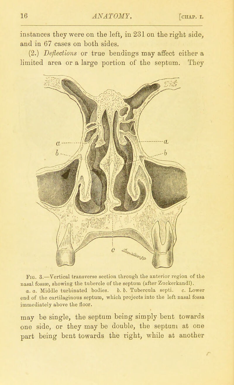 instances they were on the left, in 231 on the right side, and in 67 cases on both sides. (2.) Deflections or true bendings may affect either a limited area or a large portion of the septum. They Fig. 3.—Vertical transverse section through the anterior region of the nasal fossae, showing the tubercle of the septum (after Zuckerkandl). a. a. Middle turbinated bodies. 6. 6. Tubercula septi. c. Lower end of the cartilaginous septum, which projects into the left nasal fossa immediately above the floor. may be single, the septum being simply bent towards one side, or they may be double, the septum at one part being bent towards the right, while at another r