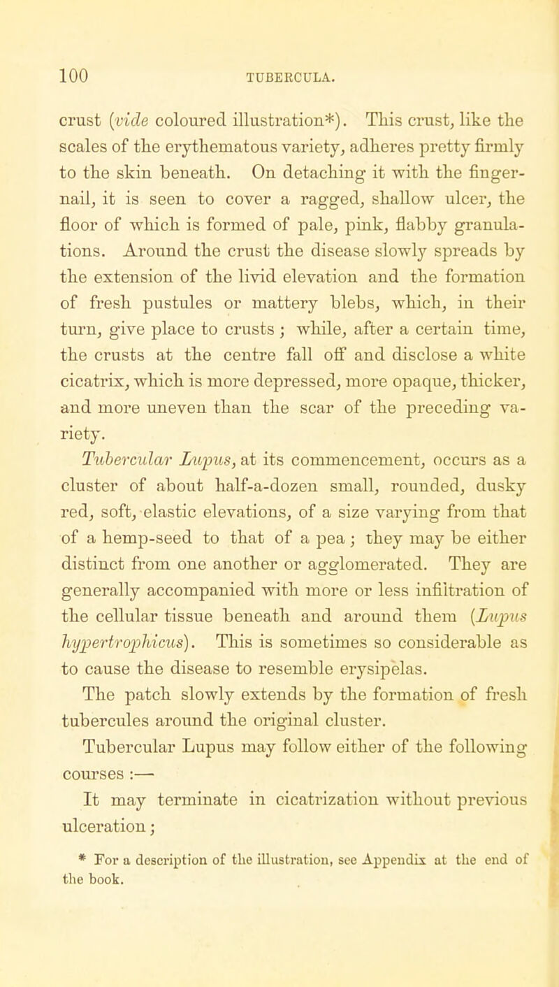 crust {vide coloured illustration*). This crust, like the scales of the erythematous variety, adheres pretty firmly to the skin beneath. On detaching it with the finger- nail, it is seen to cover a ragged, shallow ulcer, the floor of which is formed of pale, pink, flabby granula- tions. Around the crust the disease slowly spreads by the extension of the livid elevation and the formation of fresh pustules or mattery blebs, which, in their turn, give place to crusts ; while, after a certain time, the crusts at the centre fall off and disclose a white cicatrix, which is more depressed, more opaque, thicker, and more uneven than the scar of the preceding va- riety. Tubercular Lupus, at its commencement, occurs as a cluster of about half-a-dozen small, rouuded, dusky red, soft, elastic elevations, of a size varying from that of a hemp-seed to that of a pea; they may be either distinct from one another or agglomerated. They are generally accompanied with more or less infiltration of the cellular tissue beneath and around them {Lupus hypertrophicus). This is sometimes so considerable as to cause the disease to resemble erysipelas. The patch slowly extends by the formation of fresh tubercules around the original cluster. Tubercular Lupus may follow either of the following courses :— It may terminate in cicatrization without previous ulceration; * For a description of the illustration, see Appendix at the end of the book.