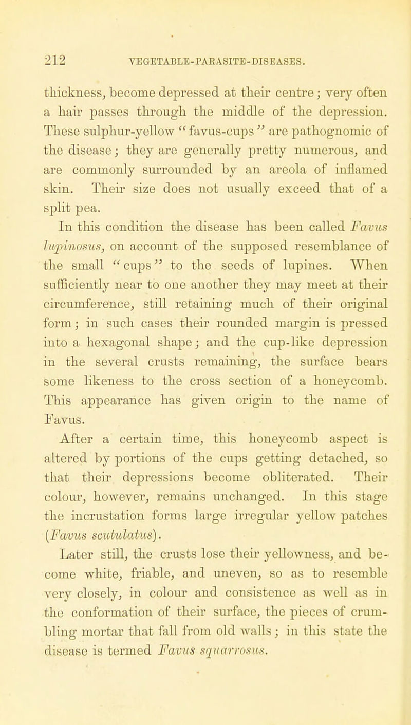 thickness, become depressed at their centre; very often a hair passes through the middle of the depression. These sulphur-yellow  favus-cups  are pathognomic of the disease; they are generally pretty numerous, and are commonly surrounded by an areola of inflamed skin. Their size does not usually exceed that of a split pea. In this condition the disease has been called Fa/ous lupinosus, on account of the supposed resemblance of the small cups to the seeds of lupines. When sufficiently near to one another they may meet at their circumference, still retaining much of their original form; in such cases their rounded margin is pressed into a hexagonal shape; and the cup-like depression in the several crusts remaining, the surface bears some likeness to the cross section of a honeycomb. This appearance has given origin to the name of Favus. After a certain time, this honeycomb aspect is altered by portions of the cups getting detached, so that their depressions become obliterated. Their colour, however, remains unchanged. In this stage the incrustation forms large irregular yellow patches [Favus scutulatus). Later still, the crusts lose their yellowness, and be- come white, friable, and uneven, so as to resemble verv closely, in colour and consistence as well as in the conformation of their surface, the pieces of crum- bling mortar that fall from old walls; in this state the disease is termed Favus squarrosits.