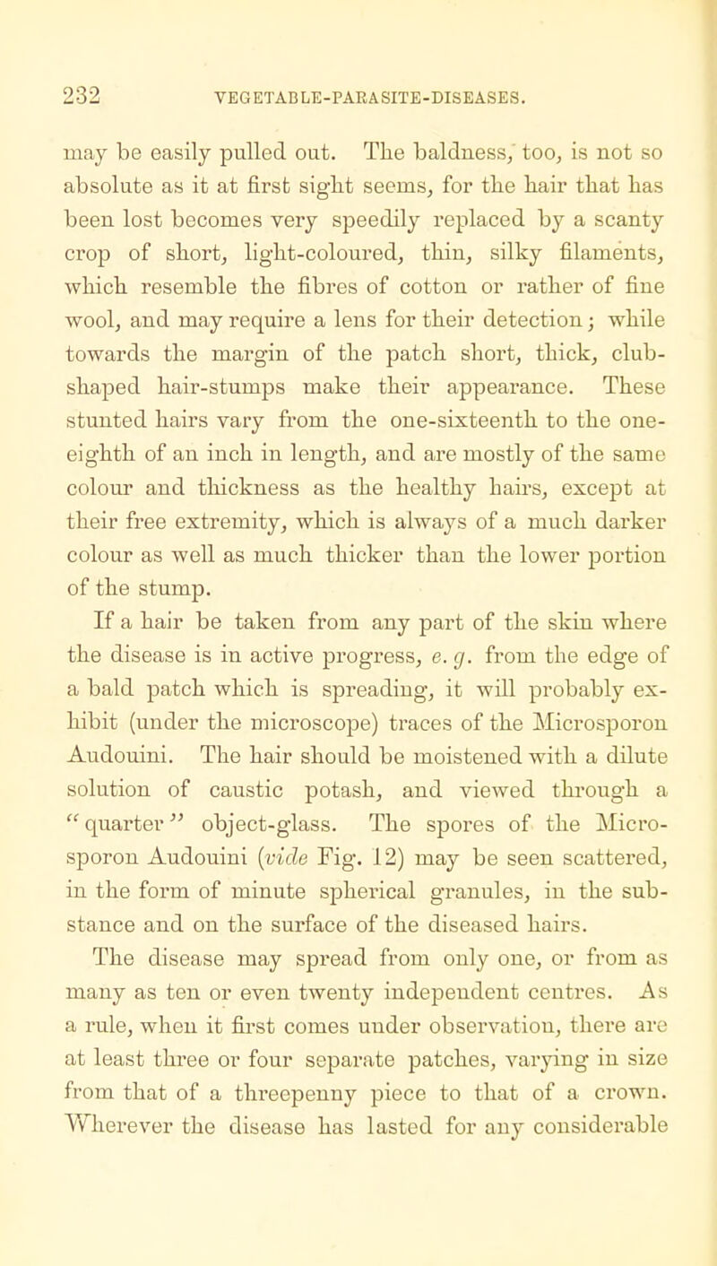 may be easily pulled out. The baldness, too, is not so absolute as it at first sight seems, for the hair that has been lost becomes very speedily replaced by a scanty crop of short, light-coloured, thin, silky filaments, which resemble the fibres of cotton or rather of fine wool, and may require a lens for their detection; while towards the margin of the patch short, thick, club- shaped hair-stumps make their appearance. These stunted hairs vary from the one-sixteenth to the one- eighth of an inch in length, and are mostly of the same colour and thickness as the healthy hairs, except at their free extremity, which is always of a much darker colour as well as much thicker than the lower portion of the stump. If a hair be taken from any part of the skin where the disease is in active progress, e. g. from the edge of a bald patch which is spreading, it will probably ex- hibit (under the microscope) traces of the Microsporon Audouini. The hair should be moistened with a dilute solution of caustic potash, and viewed through a  quarter object-glass. The spores of the Micro- sporon Audouini {vide Fig. 12) may be seen scattered, in the form of minute spherical granules, in the sub- stance and on the surface of the diseased hairs. The disease may spread from only one, or from as many as ten or even twenty independent centres. As a rule, when it first comes under observation, there are at least three or four separate patches, varying in size from that of a threepenny piece to that of a crown. Wherever the disease has lasted for any considerable