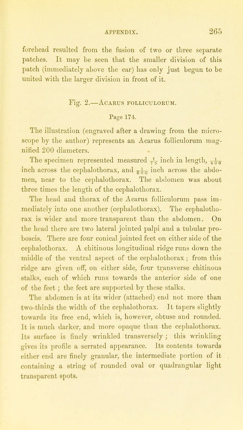 forehead resulted from the fusion of two or three separate patches. It may be seen that the smaller division of this patch (immediately above the ear) has only just begun to be united with the larger division in front of it. Fig. 2. ACARUS FOLLICULORUM. Page 174. The illustration (engraved after a drawing from the micro- scope by the author) represents an Acarus folliculorum mag- nified 200 diameters. The specimen represented measured inch in length, inch across the cephalothorax, and -^-^ inch across the abdo- men, near to the cephalothorax. The abdomen was about three times the length of the cephalothorax. The head and thorax of the Acarus folliculorum pass im- mediately into one another (cephalothorax). The cephalotho- rax is wider and more transparent than the abdomen. On the head there are two lateral jointed palpi and a tubular pro- boscis. There are four conical jointed feet on either side of the cephalothorax. A chitinous longitudinal ridge runs down the middle of the ventral aspect of the cephalothorax ; from this ridge are given off, on either side, four transverse chitinous stalks, each of which runs towards the anterior side of one of the feet ; the feet are supported by these stalks. The abdomen is at its wider (attached) end not more than two-thirds the width of the cephalothorax. It tapers slightly towards its free end, which is, however, obtuse and rounded. It is much darker, and more opaque than the cephalothorax. Its surface is finely wrinkled transversely ; this wrinkling gives its profile a serrated appearance. Its contents towards either end are finely granular, the intermediate portion of it containing a string of rounded oval or quadrangular light transparent spots.