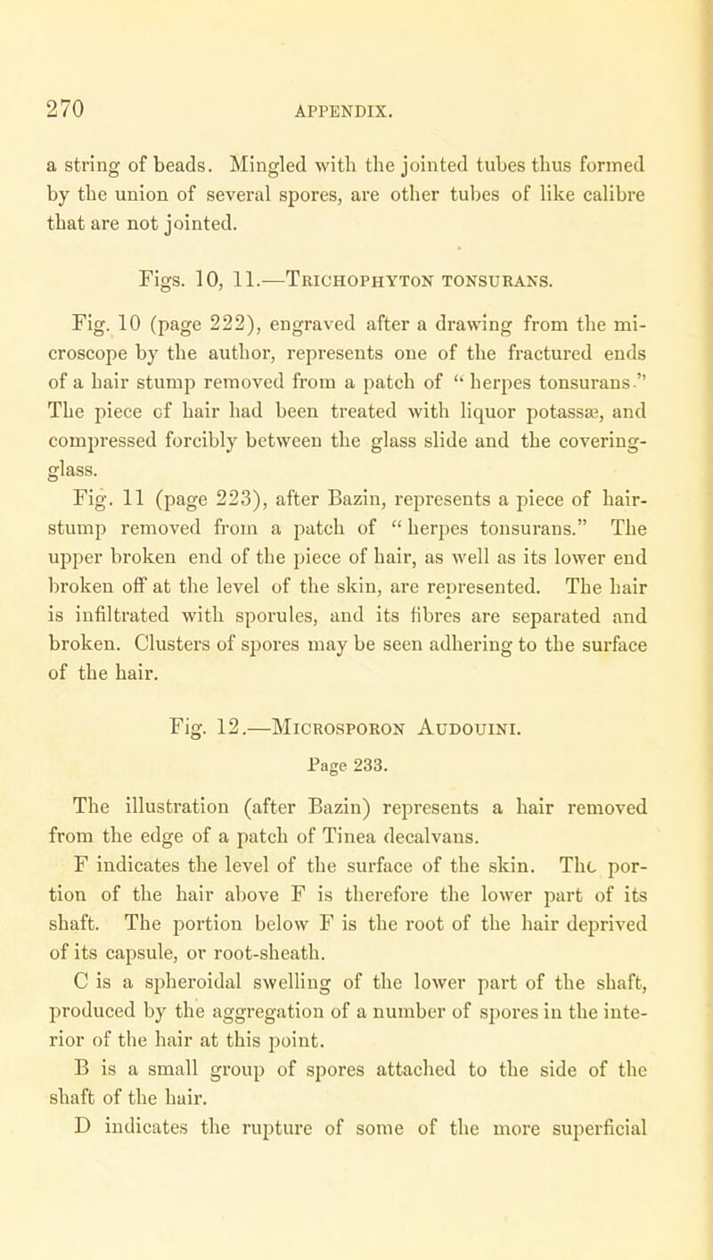 a string of beads. Mingled with the jointed tubes thus formed by the union of several spores, are other tubes of like calibre that are not jointed. Figs. 10, 11.-—Trichophyton tonsurans. Fig. 10 (page 222), engraved after a drawing from the mi- croscope by the author, represents one of the fractured ends of a hair stump removed from a patch of  herpes tonsurans  The piece of hair had been treated with liquor potassse, and compressed forcibly between the glass slide and the covering- glass. Fig. 11 (page 223), after Bazin, represents a piece of hair- stump removed from a patch of  herpes tonsurans. The upper broken end of the piece of hair, as well as its lower end broken off at the level of the skin, are represented. The hair is infiltrated with sporules, and its fibres are separated and broken. Clusters of spores may be seen adhering to the surface of the hair. Fig. 12.—Microsporon Audouini. Page 233. The illustration (after Bazin) represents a hair removed from the edge of a patch of Tinea decalvans. F indicates the level of the surface of the skin. The por- tion of the hair above F is therefore the lower part of its shaft. The portion below F is the root of the hair deprived of its capsule, or root-sheath. C is a spheroidal swelling of the lower part of the shaft, produced by the aggregation of a number of spores in the inte- rior of the hair at this point. B is a small group of spores attached to the side of the shaft of the hair. D indicates the rupture of some of the more superficial