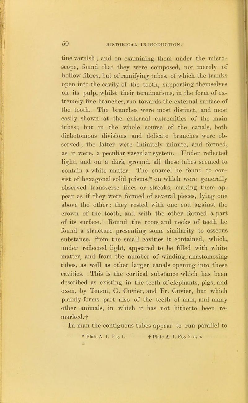 tine varnish; and on examining them under the micro- scope, found that they were composed, not merely of hollow fibres, hut of ramifying tubes, of which the trunks open into the cavity of the tooth, supporting themselves on its pulp, whilst their terminations, in the form of ex- tremely fine branches, run towards the external surface of the tooth. The branches were most distinct, and most easily shown at the external extremities of the main tubes; but in the whole course of the canals, both dichotomous divisions and delicate branches were ob- served ; the latter were infinitely minute, and formed, as it were, a peculiar vascular system. Under reflected light, and on a dark ground, all these tubes seemed to contain a white matter. The enamel he found to con- sist of hexagonal solid prisms,# on which were generally observed transverse lines or streaks, making them ap- pear as if they were formed of several pieces, lying one above the other: they rested with one end against the crown of the tooth, and with the other formed a part of its surface. Round the roots and necks of teeth he found a structure presenting some similarity to osseous substance, from the small cavities it contained, which, under reflected light, appeared to be filled with white matter, and from the number of winding, anastomosing tubes, as well as other larger canals opening into these cavities. This is the cortical substance which has been described as existing in the teeth of elephants, pigs, and oxen, by Tenon, G. Cuvier, and Fr. Cuvier, but which plainly forms part also of the teeth of man, and many other animals, in which it has not hitherto been re- marked.f In man the contiguous tubes appear to run parallel to * Plate A. 1. Fig. 1. t Plate A. 1. Fig. 2. a, a.