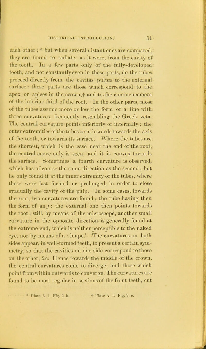 each other; # but when several distant ones are compared, they are found to radiate, as it were, from the cavity of the tooth. In a few parts only of the fully-developed tooth, and not constantly even in these parts, do the tubes proceed directly from the cavitas pulpae to the external surface: these parts are those which correspond to the apex or apices in the crown,f and to the commencement of the inferior third of the root. In the other parts, most of the tubes assume more or less the form of a line with three curvatures, frequently resembling the Greek zeta. The central curvature points inferiorly or internally; the outer extremities of the tubes turn inwards towards the axis of the tooth, or towards its surface. Where the tubes are the shortest, which is the case near the end of the root, the central curve only is seen, and it is conyex towards the surface. Sometimes a fourth curvature is observed, which has of course the same direction as the second ; but he only found it at the inner extremity of the tubes, where these were last formed or prolonged, in order to close gradually the cavity of the pulp. In some cases, towards the root, two curvatures are found ; the tube having then the form of an f: the external one then points towards the root; still, by means of the microscope, another small curvature in the opposite direction is generally found at the extreme end, which is neither perceptible to the naked eye, nor by means of a ' loupe.' The curvatures on both sides appear, in well-formed teeth, to present a certain sym- metry, so that the cavities on one side correspond to those on the other, &c. Hence towards the middle of the crown, the central curvatures come to diverge, and those which point from within outwards to converge. The curvatures are found to be most regular in sections.of the front teeth, cut • Plate A. 1. Fig. 2. b. t Hate A. 1. Fig. 2. c.