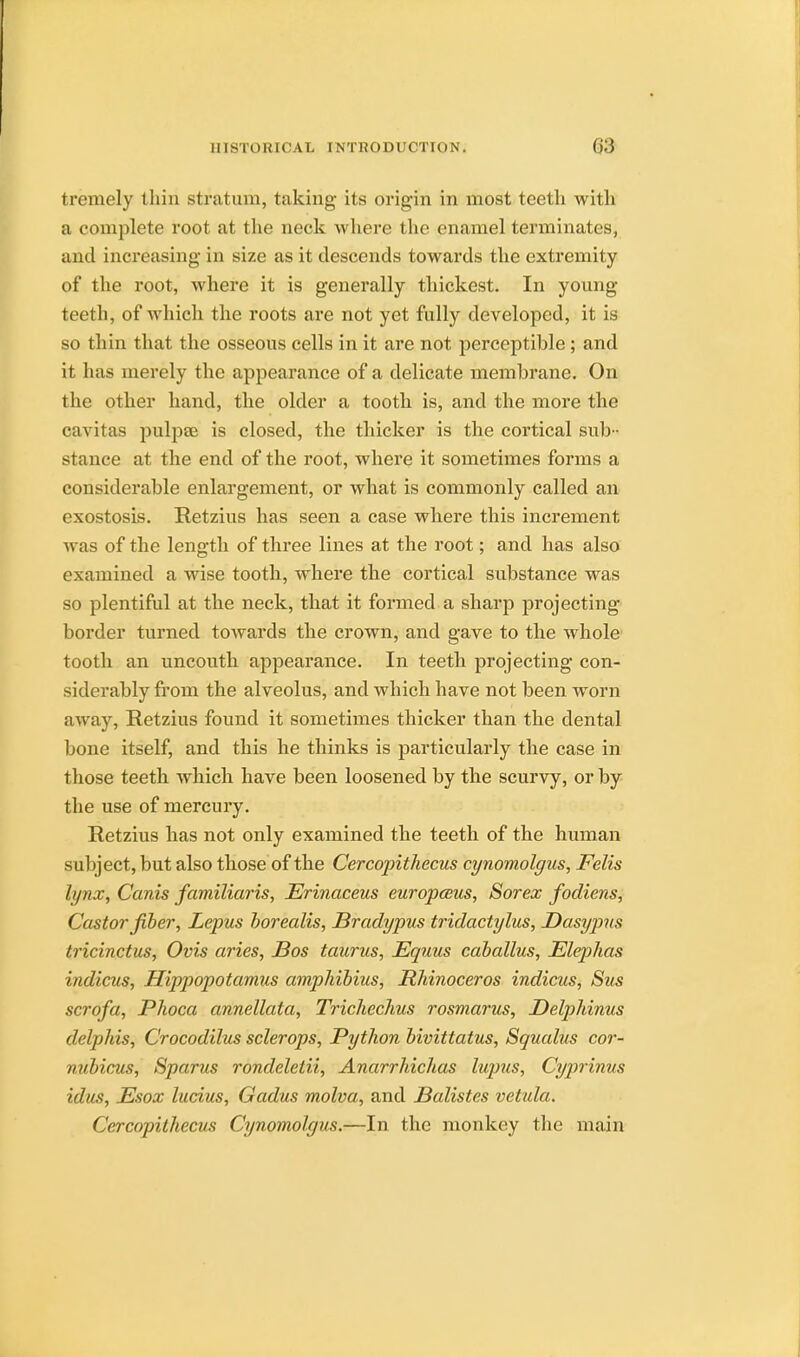 tivmely thin stratum, taking its origin in most teeth with a complete root at the neck where the enamel terminates, and increasing in size as it descends towards the extremity of the root, where it is generally thickest. In young teeth, of which the roots are not yet fully developed, it is so thin that the osseous cells in it are not perceptible; and it has merely the appearance of a delicate membrane. On the other hand, the older a tooth is, and the more the cavitas pulpse is closed, the thicker is the cortical sub - stance at the end of the root, where it sometimes forms a considerable enlargement, or what is commonly called an exostosis. Retzius has seen a case where this increment was of the length of three lines at the root; and has also examined a wise tooth, where the cortical substance was so plentiful at the neck, that it formed a sharp projecting border turned towards the crown, and gave to the whole tooth an uncouth appearance. In teeth projecting con- siderably from the alveolus, and which have not been worn away, Retzius found it sometimes thicker than the dental bone itself, and this he thinks is particularly the case in those teeth which have been loosened by the scurvy, or by the use of mercury. Retzius has not only examined the teeth of the human subject, but also those of the Cercopithecus cynomolgus, Felis lynx, Canis familiaris, Erinaceus europceus, Sorex fodiens, Castor fiber, Lepus borealis, Bradypus tridactylus, Dasyjms tricinctus, Ovis aries, Bos taurus, Equus caballus, Elephas indicus, Hippopotamus amphibius, Rhinoceros indicus, Sus scrofa, Phoca annellata, Trichechus rosmarus, Belphinus delphis, Crocodilus sclerops, Python bivittatus, Squalus cor- nubicus, Spams rondeletii, Anarrhichas lupus, Cyprinus idus, Esox lucius, Gadus molva, and Balistes vetida. Cercopithecus Cynomolgus.—In the monkey the main