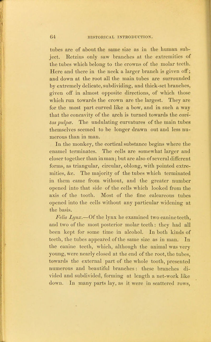 tubes are of about the same size as in the human sub- ject. Retzius only saw brandies at the extremities of the tubes which belong to the crowns of the molar teeth. Here and there in the neck a larger branch is given off; and down at the root all the main tubes are surrounded by extremely delicate, subdividing, and thick-set branches, given off in almost opposite directions, of which those which run towards the crown are the largest. They are for the most part curved like a bow, and in such a way that the concavity of the arch is turned towards the cavi- tas pulpcB. The undulating curvatures of the main tubes themselves seemed to be longer drawn out and less nu- merous than in man. In the monkey, the cortical substance begins where the enamel terminates. The cells are somewhat larger and closer together than in man; but are also of several different forms, as triangular, circular, oblong, with pointed extre- mities, &c. The majority of the tubes which terminated in them came from without, and the greater number opened into that side of the cells which looked from the axis of the tooth. Most of the fine calcareous tubes opened into the cells without any particular widening at the basis. Felis Lynx.—Of the lynx he examined two canine teeth, and two of the most posterior molar teeth : they had all been kept for some time in alcohol. In both kinds of teeth, the tubes appeared of the same size as in man. In the canine teeth, which, although the animal was very young, were nearly closed at the end of the root, the tubes, towards the external part of the whole tooth, presented numerous and beautiful branches: these branches di- vided and subdivided, forming at length a net-work like down. In many parts lay, as it were in scattered rows,