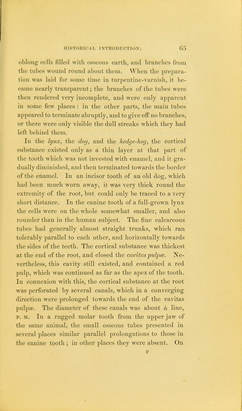 oblong cells filled with osseous earth, and branches from the tubes wound round about them. When the prepara- tion was laid for some time in turpentine-varnish, it be- came nearly transparent; the branches of the tubes were then rendered very incomplete, and were only apparent in some few places : in the other parts, the main tubes appeared to terminate abruptly, and to give off no branches, or there were only visible the dull streaks which they had left behind them. In the lynx, the clog, and the hedge-hog, the cortical substance existed only as a thin layer at that part of the tooth which was not invested with enamel, and it gra- dually diminished, and then terminated towards the border of the enamel. In an incisor tooth of an old dog, which had been much worn away, it was very thick round the extremity of the root, but could only be traced to a very short distance. In the canine tooth of a full-grown lynx the cells were on the whole somewhat smaller, and also rounder than in the human subject. The fine calcareous tubes had generally almost straight trunks, which ran tolerably parallel to each other, and horizontally towards the sides of the teeth. The cortical substance was thickest at the end of the root, and closed the cavitaspulpce. Ne- vertheless, this cavity still existed, and contained a red pulp, which was continued as far as the apex of the tooth. In connexion with this, the cortical substance at the root was perforated by several canals, which in a converging direction were prolonged towards the end of the cavitas pulpse. The diameter of these canals was about h line, p. m. In a rugged molar tooth from the upper jaw of the same animal, the small osseous tubes presented in several places similar parallel prolongations to those in the canine tooth ; in other places they were absent. On F