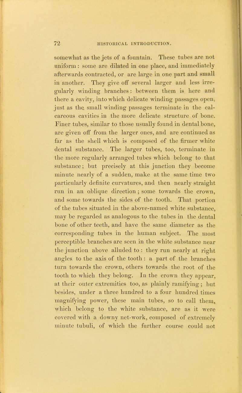 somewhat as the jets of a fountain. These tubes are not uniform: some are dilated in one place, and immediately afterwards contracted, or are large in one part and small in another. They give off several larger and less irre- gularly winding branches: between them is here and there a cavity, into which delicate winding passages open, just as the small winding passages terminate in the cal- careous cavities in the more delicate structure of bone. Finer tubes, similar to those usually found in dental bone, are given off from the larger ones, and are continued as far as the shell which is composed of the firmer white dental substance. The larger tubes, too, terminate in the more regularly arranged tubes which belong to that substance; but precisely at this junction they become minute nearly of a sudden, make at the same time two particularly definite curvatures, and then nearly straight run in an oblique direction ; some towards the crown, and some towards the sides of the tooth. That portion of the tubes situated in the above-named white substance, may be regarded as analogous to the tubes in the dental bone of other teeth, and have the same diameter as the corresponding tubes in the human subject. The most perceptible branches are seen in the white substance near the junction above alluded to : they run nearly at right angles to the axis of the tooth: a part of the branches turn towards the crown, others towards the root of the tooth to which they belong. In the crown they appear, at their outer extremities too, as plainly ramifying ; but besides, under a three hundred to a four hundred times magnifying power, these main tubes, so to call them, which belong to the white substance, are as it were covered with a downy net-work, composed of extremely minute tubuli, of which the further course could not