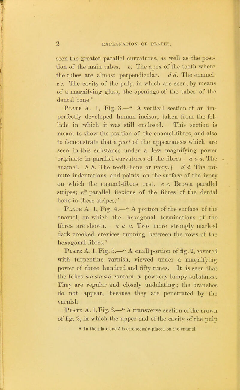 seen the greater parallel curvatures, as well as the posi- tion of the main tuhes. c. The apex of the tooth where the tuhes are almost perpendicular. d d. The enamel. ee. The cavity of the pulp, in which are seen, hy means of a magnifying glass, the openings of the tubes of the dental bone. Plate A. 1, Fig. 3.— A vertical section of an im- perfectly developed human incisor, taken from the fol- licle in which it was still enclosed. This section is meant to show the position of the enamel-fibres, and also to demonstrate that apart of the appearances which arc seen in this substance under a less magnifying power originate in parallel curvatures of the fibres, a a a. The enamel, b b. The tooth-bone or ivory.f d d. The mi- nute indentations and points on the surface of the ivory on which the enamel-fibres rest, e e. Brown parallel stripes; e* parallel flexions of the fibres of the dental bone in these stripes. Plate A. 1, Fig. 4.— A portion of the surface of the enamel, on which the hexagonal terminations of the fibres are shown. a a a. Two more strongly marked dark crooked crevices running between the rows of the hexagonal fibres. Plate A. 1, Fig. 5.— A small portion of fig. 2, covered with turpentine varnish, viewed under a magnifying power of three hundred and fifty times. It is seen that the tubes aaaaaa contain a powdery lumpy substance. They are regular and closely undulating; the branches do not appear, because they are penetrated by the varnish. Plate A. l,Fig.6.—A transverse section of the crown of fig. 2, in which the upper end of the cavity of the pulp * In the plate one b is erroneously placed on the enamel.