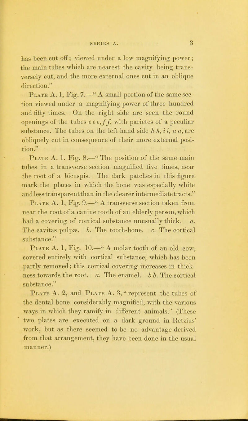 lias been cut off; viewed under a low magnifying power; the main tubes winch arc nearest the cavity being trans- versely cut, and the more external ones cut in an oblique direction. Plate A. 1, Fig. 7.— A small portion of the same sec- tion viewed under a magnifying power of three hundred and fifty times. On the right side are seen the round openings of the tubes eee,ff, with parietes of a peculiar substance. The tubes on the left hand side h h, ii, a a, are obliquely cut in consequence of their more external posi- tion. Plate A. 1. Fig. 8.—The position of the same main tubes in a transverse section magnified five times, near the root of a bicuspis. Tbe dark patches in this figure mark the places in which the bone was especially white and less transparent than in the clearer intermediate tracts. Plate A. 1, Fig. 9.— A transverse section taken from near the root of a canine tooth of an elderly person, which had a covering of cortical substance unusually thick, a. The cavitas pulpse. b. The tooth-bone. c. The cortical substance. Plate A. 1, Fig. 10.— A molar tooth of an old cow, covered entirely with cortical substance, which has been partly removed; this cortical covering increases in thick- ness towards the root. a. The enamel, b b. The cortical substance. Plate A. 2, and Plate A. 3, represent the tubes of the dental bone considerably magnified, with the various ways in which they ramify in different animals. (These two plates are executed on a dark ground in Retzius' work, but as there seemed to be no advantage derived from that arrangement, they have been done in the usual manner.)