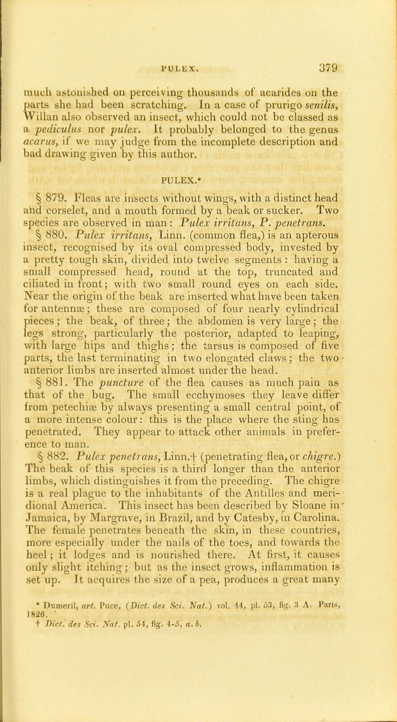 much astonished on perceiving thousands of acarides on the parts she had been scratching. In a case of prurigo senilis, Willan also observed an insect, which could not be classed as a pediculus nor pulex. It probably belonged to the genus acarus, if we may judge from the incomplete description and bad drawing given by this author. PULEX.* § 879. Fleas are insects without wings, with a distinct head and corselet, and a mouth formed by a beak or sucker. Two species are observed in man: Pulex irritans, P. penetrans. % 880. Pulex irritans, Linn, (common flea,) is an apterous insect, recognised by its oval compressed body, invested by a pretty tough skin, divided into twelve segments : having a small compressed head, round at the top, truncated and ciliated in front; with two small round eyes on each side. Near the origin of the beak are inserted what have been taken for antennae; these are composed of four nearly cylindrical pieces; the beak, of three; the abdomen is very large; the legs strong, particularly the posterior, adapted to leaping, with large hips and thighs; the tarsus is composed of five parts, the last terminating in two elongated claws; the two anterior limbs are inserted almost under the head. § 881. The puncture of the flea causes as much pain as that of the bug. The small ecchymoses they leave differ from petechia? by always presenting a small central point, of a more intense colour: this is the place where the sting has penetrated. They appear to attack other animals in prefer- ence to man. § 882. Pulex penetrans, Lmn.f (penetrating flea, or chigre.) The beak of this species is a third longer than the anterior limbs, which distinguishes it from the preceding. The chigre is a real plague to the inhabitants of the Antilles and meri- dional America. This insect has been described by Sloane in* Jamaica, by Margrave, in Brazil, and by Catesby, in Carolina. The female penetrates beneath the skin, in these countries, more especially under the nails of the toes, and towards the heel; it lodges and is nourished there. At first, it causes only slight itching; but as the insect grows, inflammation is set up. It acquires the size of a pea, produces a great many • Dumeril, art. Puce, {Diet, des Set. Nat.) vol. 14, pi. 53, fig. 3 A. Puris, 1826. t Diet, des Set. Nat. pi. 54, fig. 4-5, a. b.