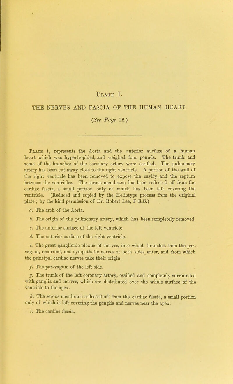 THE NERVES AND FASCIA OF THE HUMAN HEART. (See Page 12.) Plate 1, represents the Aorta and the anterior surface of a human heart which was hypertrophied, and weighed four pounds. The trunk and some of the branches of the coronary artery were ossified. The pulmonary artery has been cut away close to the right ventricle. A portion of the wall of the right ventricle has been removed to expose the cavity and the septum between the ventricles. The serous membrane has been reflected oif from the cardiac fascia, a small portion only of which has been left covering the ventricle. (Reduced and copied by the Heliotype process from the original plate ; by the kind permission of Dr. Robert Lee, F.R.S.) a. The arch of the Aorta. b. The origin of the pulmonary artery, which has been completely removed. e. The anterior surface of the left ventricle. d. The anterior surface of the right ventricle. e. The great ganglionic plexus of nerves, into which branches from the par- vagum, recurrent, and sympathetic nerves of both sides enter, and from which the principal cardiac nerves take their origin. /. The par-vagum of the left side. g. The trunk of the left coronary artery, ossified and completely surrounded with ganglia and nerves, which are distributed over the whole surface of the ventricle to the apex. h. The serous membrane reflected off from the cardiac fascia, a email portion only of which is left covering tho ganglia and nerves near the apex. t. The cardiac fascia.