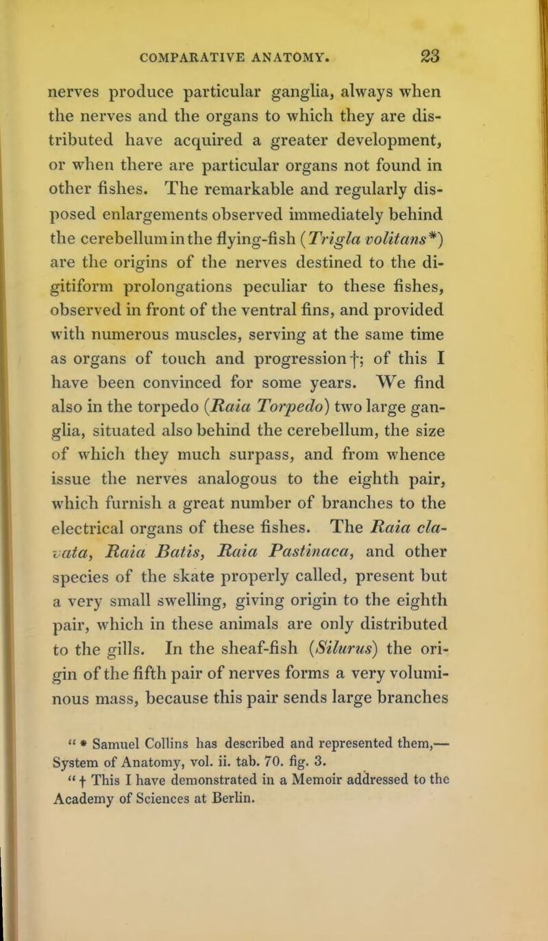nerves produce particular ganglia, always when the nerves and the organs to which they are dis- tributed have acquired a greater development, or when there are particular organs not found in other fishes. The remarkable and regularly dis- posed enlargements observed immediately behind the cerebellum in the flying-fish {Trigla volitans*) are the origins of the nerves destined to the di- gitiform prolongations peculiar to these fishes, observed in front of the ventral fins, and provided with numerous muscles, serving at the same time as organs of touch and progression f; of this I have been convinced for some years. We find also in the torpedo {Rata Torpedo) two large gan- glia, situated also behind the cerebellum, the size of which they much surpass, and from whence issue the nerves analogous to the eighth pair, which furnish a great number of branches to the electrical organs of these fishes. The Raia cla- vata. Rata Batis, Raia Pastinaca, and other species of the skate properly called, present but a very small swelling, giving origin to the eighth pair, which in these animals are only distributed to the gills. In the sheaf-fish {Silurus) the ori- gin of the fifth pair of nerves forms a very volumi- nous mass, because this pair sends large branches *' • Samuel Collins has described and represented them,— System of Anatomy, vol. ii. tab. 70. fig. 3.  t This I have demonstrated in a Memoir addressed to the Academy of Sciences at Berlin.