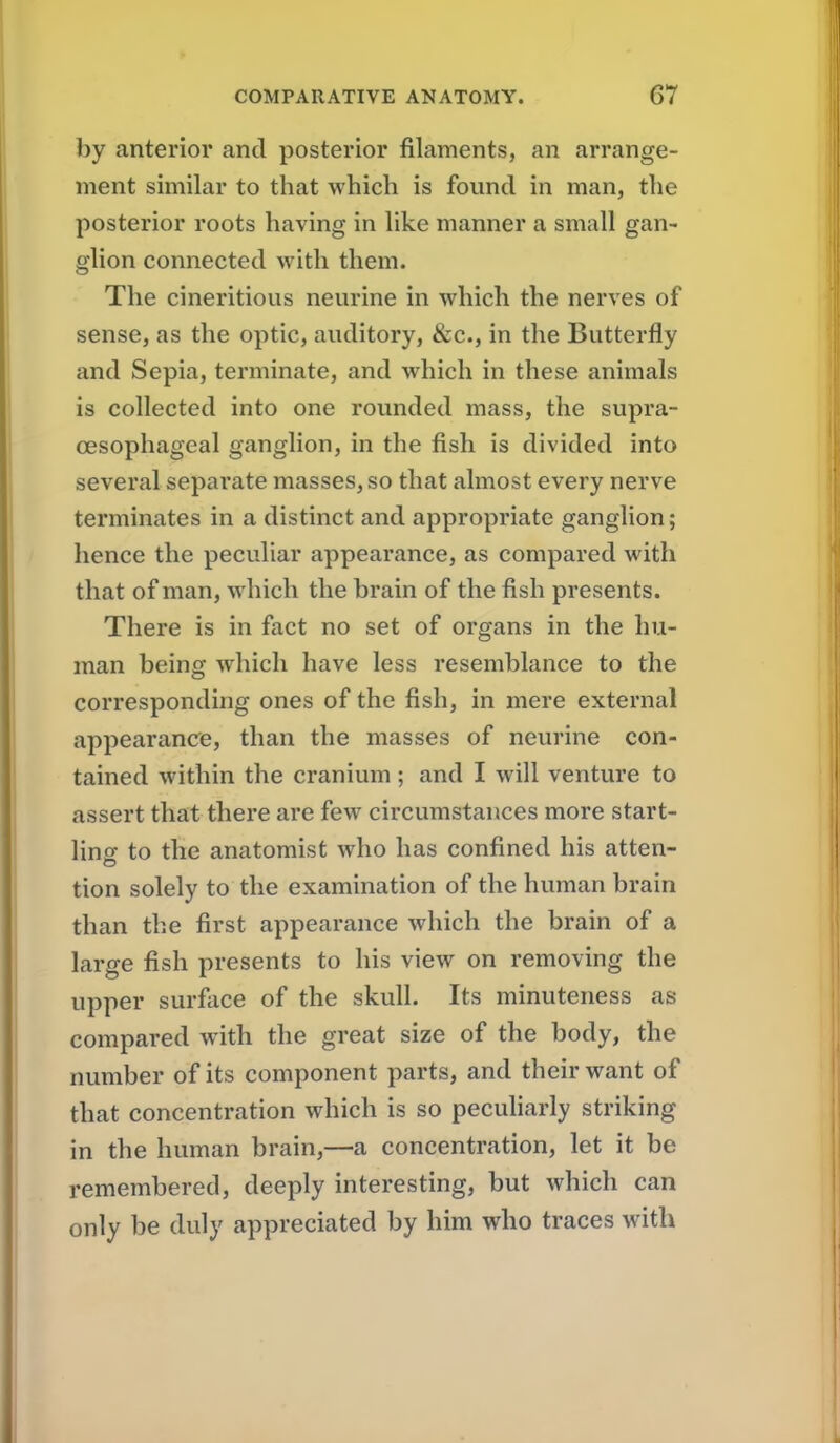 by anterior and posterior filaments, an arrange- ment similar to that which is found in man, the posterior roots having in like manner a small gan- glion connected with them. The cineritious neurine in which the nerves of sense, as the optic, auditory, &c., in the Butterfly and Sepia, terminate, and which in these animals is collected into one rounded mass, the supra- oesophageal ganglion, in the fish is divided into several separate masses, so that almost every nerve terminates in a distinct and appropriate ganglion; hence the peculiar appearance, as compared with that of man, which the brain of the fish presents. There is in fact no set of organs in the hu- man being which have less resemblance to the corresponding ones of the fish, in mere external appearance, than the masses of neurine con- tained within the cranium; and I will venture to assert that there are few circumstances more start- ling to the anatomist who has confined his atten- tion solely to the examination of the human brain than the first appearance which the brain of a large fish presents to his view on removing the upper surface of the skull. Its minuteness as compared with the great size of the body, the number of its component parts, and their want of that concentration which is so peculiarly striking in the human brain,—a concentration, let it be remembered, deeply interesting, but which can only be duly appreciated by him who traces with