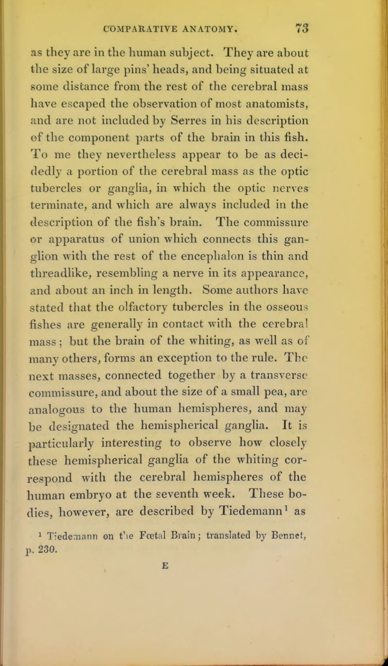 as they are in the human suhject. They are about the size of large pins' heads, and being situated at some distance from the rest of the cerebral mass have escaped the observation of most anatomists, and are not included by Serres in his description of the component parts of the brain in this fish. To me they nevertheless appear to be as deci- dedly a portion of the cerebral mass as the optic tubercles or ganglia, in which the optic nerves terminate, and which are always included in the description of the fish's brain. The commissure or apparatus of union which connects this gan- glion with the rest of the encephalon is thin and threadlike, resembling a nerve in its appearance, and about an inch in length. Some authors have stated that the olfactory tubercles in the osseous fishes are generally in contact with the cerebral mass; but the brain of the whiting, as well as of many others, forms an exception to the rule. The next masses, connected together by a transverse commissure, and about the size of a small pea, arc analogous to the human hemispheres, and may be designated the hemispherical ganglia. It is particularly interesting to observe how closely these hemispherical ganglia of the whiting cor- respond with the cerebral hemispheres of the human embryo at the seventh week. These bo- dies, however, are described by Tiedemann^ as ^ Tiedemann on t'le Foetal Brain; translated by Bennct, J). 230. E