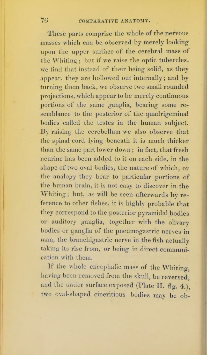 These parts comprise the whole of the nervous masses which can be observed by merely looking- upon the upper surface of the cerebral mass of the Whiting ; but if we raise the optic tubercles, we find that instead of their being solid, as they appear, they are hollowed out internally; and by turning them back, we observe two small rounded projections, which appear to be merely continuous portions of the same ganglia, bearing some re- semblance to the posterior of the quadrigeminal bodies called the testes in the human subject. By raising the cerebellum we also observe that the spinal cord lying beneath it is much thicker than the same part lower down ; in fact, that fresh neurine has been added to it on each side, in the shape of two oval bodies, the nature of which, or the analogy they bear to particular portions of the human brain, it is not easy to discover in the Whiting; but, as will be seen afterwards by re- ference to other fishes, it is highly probable that they correspond to the posterior pyramidal bodies or auditory ganglia, together with the olivary bodies or ganglia of the pneumogastric nerves in man, the branchigastric nerve in the fish actually taking its rise from, or being in direct communi- cation with them. If the whole encephahc mass of the Whitlno- having been removed from the skull, be reversed, and the under surface exposed (Plate II. fig. 4.), two oval-shaped cineritious bodies may be ob-