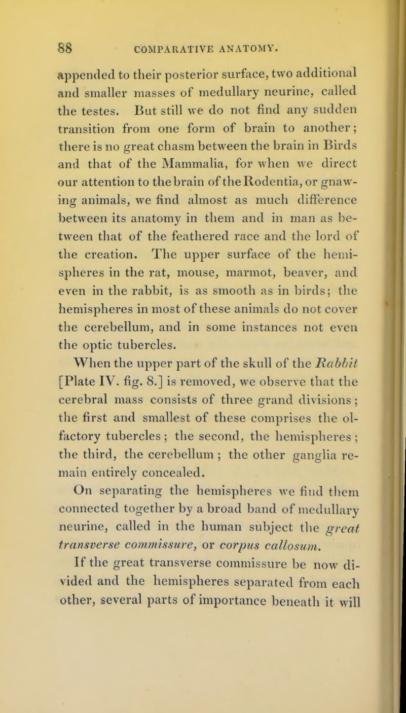 appended to their posterior surface, two additional and smaller masses of medullary neurine, called the testes. But still we do not find any sudden transition from one form of brain to another; there is no great chasm between the brain in Birds and that of the Mammalia, for when we direct our attention to the brain of theRodentia, or gnaw- ing animals, we find almost as much difference between its anatomy in them and in man as be- tween that of the feathered race and the lord of the creation. The upper surface of the hemi- spheres in the rat, mouse, marmot, beaver, and even in the rabbit, is as smooth as in birds; the hemispheres in most of these animals do not cover the cerebellum, and in some instances not even the optic tubercles. When the upper part of the skull of the Rabbit [Plate IV. fig. 8.] is removed, we observe that the cerebral mass consists of three grand divisions ; the first and smallest of these comprises the ol- factory tubercles ; the second, the hemispheres ; the third, the cerebellum ; the other ganglia re- main entirely concealed. On separating the hemispheres we find them connected together by a broad band of medullary neurine, called in the human subject the great transverse commissure, or corpus caUosum. If the great transverse commissure be now di- vided and the hemispheres separated from each other, several parts of importance beneath it will