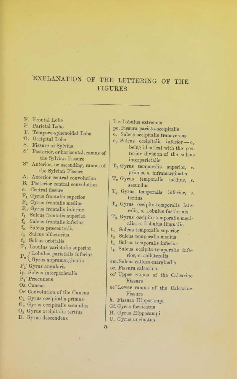 ^EXPLANATION OF THE LETTERING OP THE FIGURES V. P. T. O. S. S' S A. B. c. Pi ip. Pi' Oz. Oz' Oi 0. O3 D. Frontal Lobe Parietal Lobe Temporo-sphenoidal Lobe Occipital Lobe Fissure of Sylvius Posterior, or horizontal, ramus the Sylvian Fissure Anterior, or ascending, ramus the Sylvian Fissure Anterior central convolution Posterior central convolution Central fissiu-e Gyrus frontalis superior Gyrus frontalis medius Gyrus frontalis inferior Sulcus frontalis superior Sulcus frontalis inferior Sulcus prpecentralis Sulcus olfactorius Sulcus orbitalis Lobulus parietalis superior fLobulus parietalis inferior L Gyrus supramarginalis Gyrus angularis Sulcus interparietalis Prsecuneus Cuneus Convolution of the Cuneus Gyrus occipitalis primus Gyrus occipitalis secundus Gyrus occipitalis tertius Gyrus descendens of of L.e. Lobulus extremus po. Fissura parieto-occipitalis o. Sulcus occipitalis transversus O2 Sulcus occipitalis inferior — o^ being identical with the pos- terior division of the sulcus interparietalis Ti Gyrus temporalis superior, p. primus, s. inframarginalis T2 Gyrus temporalis medius, s. secundus T3 Gyrus temporalis inferior, s. tertius T4 Gyrus occipito-temporalis late- ralis, s. Lobulus fusiformis T5 Gyrus occipito-temporalis medi- alis, s. Lobulus lingualis tji Sulcus temporalis superior ta Sulcus temporalis medius t4 Sulcus temporalis inferior Sulcus occipito-temporalis infe- rior, s. collateralis cm. Sulcus calloso-marginalis oc. Fissura calcarina oc' Upper ramus of the Calcarino Fissure oe Lower ramus of the Calcariae Fissure h. Fissura Hippocampi Gf. Gyrus fornicatus H. Gyrus Hippocampi U. Gyrus uncinatus a