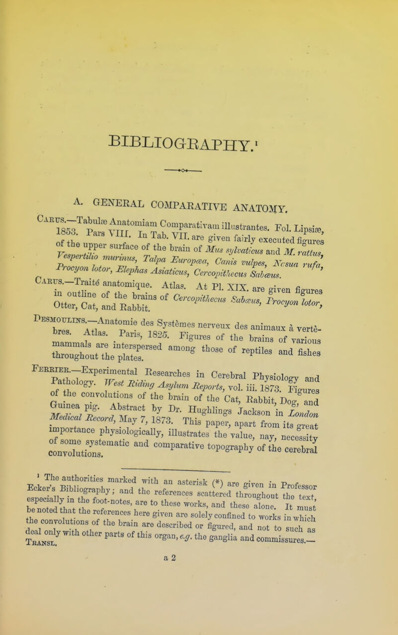 BIBLIOGBAPHY.' A. GENERAL COMPARATIVE ANAT03IY. 1853 Paa-8 Ml . I, Tab. VII. are givea fairly executed £^0^ of the upper surface of the brain of Mus syl^aLs and M. mtus r, ocyon loto>, Cephas Asiaticus, Cercopithecm SabcBus CARys._Trait^ .natomique. Atlas. At PI. XIX. are given figures ^t:rc:;:ic:^a:;r^^^^^^^^^ bres. Atlas. Pans, 1825. Figures of the brains of virions FEBBIEE.-Experimental Researches in Cerebral Physiology and Pathology. West Asylum lieports^yol ill im, fiZ, of the convolutions of the brain of the Cat, Rabbit, Do. and Gmnea p:g. Abstract by Dr. Ilughlings Jackson n i ^ Meckcal IteconI, May 7, 1873. This paper, apart from it's g tt in.portance physiologicaUy, illustrates the vakxe, nay, n cess v —iir comparative topography'of t^eceXi ' The authorities marked with an a^^Pn'cV o« • • EeWs EiMiography. .nd the espeeja ]y m the foot-notes, are to these works, and these aln 1^ ^ust be noted that the references here given are solely confined to works in X th convolutions of the brain are described or fig^^red, and not to sulh as deaUnly w:th other parts of this organ, e.,. the ganglia and comn^iss^es.-