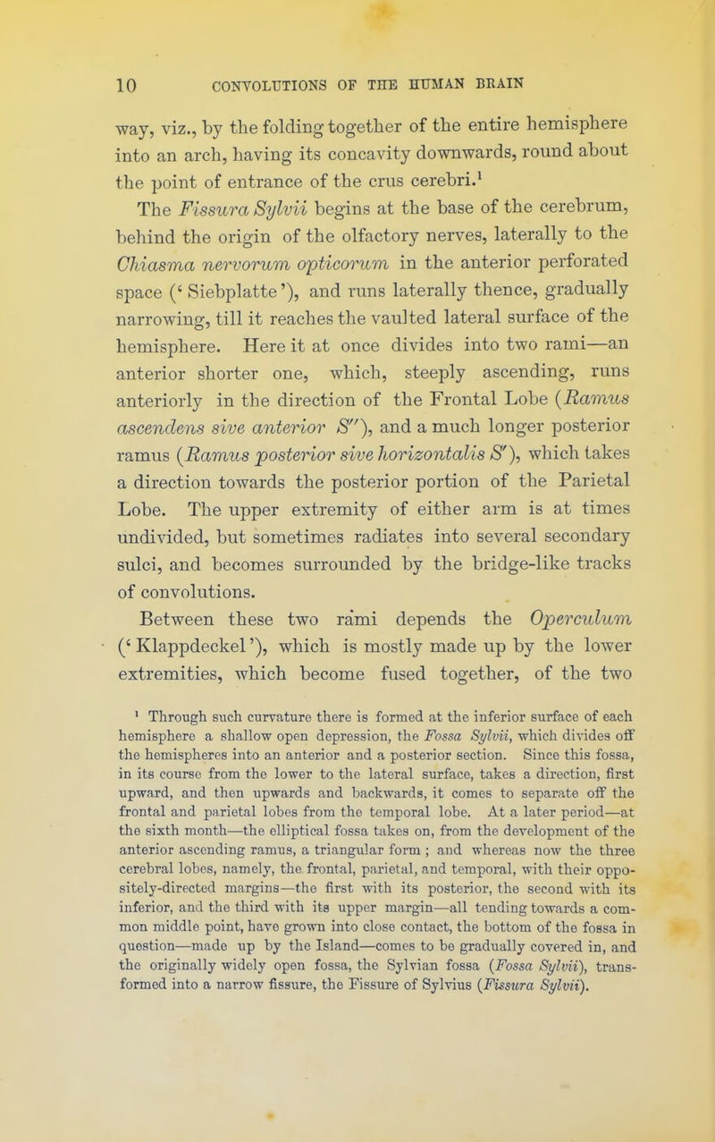 way, viz., by the folding together of the entire hemisphere into an arch, having its concavity downwards, round about the point of entrance of the crus cerebri.^ The Fissura Sylvii begins at the base of the cerebrum, behind the origin of the olfactory nerves, laterally to the Chiasma nervorum opticorum in the anterior perforated space (' Siebplatte'), and runs laterally thence, gradually narrowing, till it reaches the vaulted lateral surface of the hemisphere. Here it at once divides into two rami—an anterior shorter one, which, steeply ascending, runs anteriorly in the direction of the Frontal Lobe {Ramus ascendens sive anterior S), and a much longer posterior ramus {Ramus posterior sive horizontalis S'), which takes a direction towards the posterior portion of the Parietal Lobe. The upper extremity of either arm is at times undivided, but sometimes radiates into several secondary sulci, and becomes surrounded by the bridge-like tracks of convolutions. Between these two rami depends the Operculum (' Klappdeckel'), which is mostly made up by the lower extremities, which become fused together, of the two ' Through such curvature there is formed at the inferior surface of each hemisphere a shallow open depression, the Fossa Sylvii, which divides off the hemispheres into an anterior and a posterior section. Since this fossa, in its course from the lower to the lateral surface, takes a direction, first upward, and then upwards and backwards, it comes to separate oif the frontal and parietal lobes from the temporal lobe. At a later period—at the sixth month—the elliptical fossa takes on, from the development of the anterior ascending ramus, a triangular form ; and whereas now the three cerebral lobes, namely, the frontal, parietal, and temporal, with their oppo- sitely-directed margins—the first with its posterior, the second with its inferior, and the third with its upper margin—all tending towards a com- mon middle point, have grown into close contact, the bottom of the fossa in question—made up by the Island—comes to be gradually covered in, and the originally widely open fossa, the Sylvian fossa {Fossa Sylvii), trans- formed into a narrow fissure, the Fissure of Sylvius {Fisstira Sr/lvii).