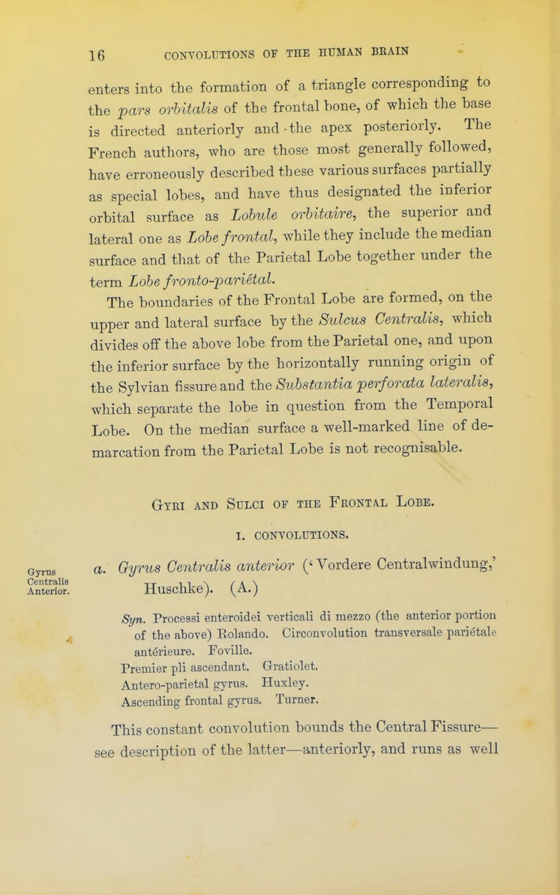 enters into the formation of a triangle corresponding to the pars orbitalis of the frontal bone, of which the base is directed anteriorly and the apex posteriorly. The French authors, who are those most generally followed, have erroneously described these various surfaces partially as special lobes, and have thus designated the inferior orbital surface as Lobule orbitaire, the superior and lateral one as Lobe frontal, while they include the median surface and that of the Parietal Lobe together under the term Lobe fronto-parietal. The boundaries of the Frontal Lobe are formed, on the upper and lateral surface by the Sulcus Centralis, which divides off the above lobe from the Parietal one, and upon the inferior surface by the horizontally running origin of the Sylvian fissure and the Substantia perforata lateralis, which separate the lobe in question from the Temporal Lobe. On the median surface a well-marked line of de- marcation from the Parietal Lobe is not recognisable. Gyri and Sulci of the Frontal Lobe. I. convolutions. a. Gyrus Centralis anterior ('Vordere Centralwindung,' Huschke). (A.) Syn. Process! enteroidei verticali di mezzo (the anterior portion of the above) Rolando. Circonvolution transversale parietale ant^rieure. Foville. Premier pli ascendant. Gratiolet, Antero-parietal gyrus. Huxley. Ascending frontal gyrus. Turner. This constant convolution bounds the Central Fissure— see description of the latter—anteriorly, and runs as well Gyrus Centralis Anterior.