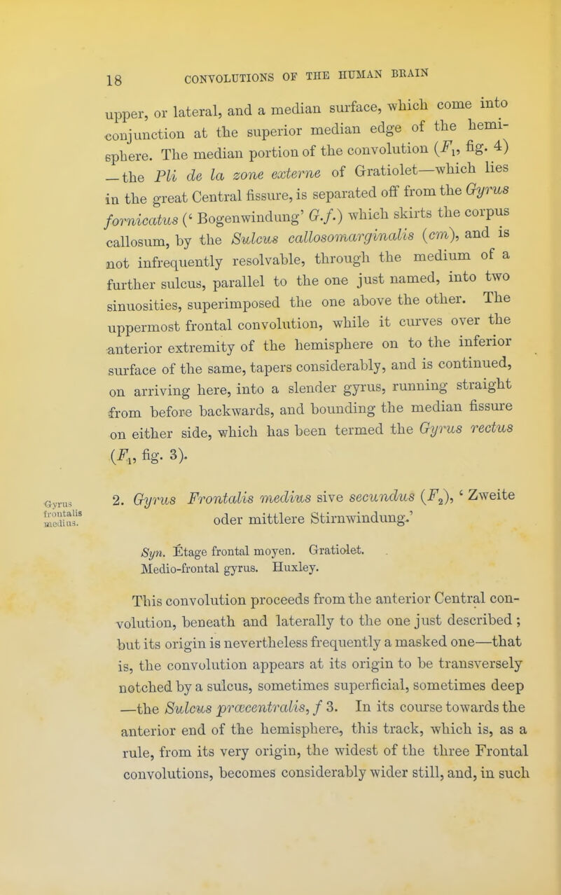 ■Gyrus ffontalis mediiTS. 18 CONVOLUTIONS OF THE HUMAN BEAIN upper, or lateral, and a median surface, which come into conjunction at the superior median edge of the hemi- sphere. The median portion of the convolution (i^p fig. 4) -the Pli de la zone externe of Gratiolet—which lies in the great Central fissure, is separated off from the Gyrus fornicatus (' Bogenwindung' G.f.) which skirts the corpus callosum, by the Sulcus callosomarginalis {cm), and is not infrequently resolvable, through the medium of a further sulcus, parallel to the one just named, into two sinuosities, superimposed the one above the other. The uppermost frontal convolution, while it curves over the anterior extremity of the hemisphere on to the inferior surface of the same, tapers considerably, and is continued, on arriving here, into a slender gyrus, running straight from before backwards, and bounding the median fissure on either side, which has been termed the Gyrus rectus {F.v fig. 3). 2. Gyrus Frontalis medius sive secundus {F^), ' Zweite Oder mittlere Stirnwindung.' Syn. Etage frontal moyen. Gratiolet. Medio-frontal gyrus. Huxley. This convolution proceeds from the anterior Central con- volution, beneath and laterally to the one just described ; but its origin is nevertheless frequently a masked one—that is, the convolution appears at its origin to be transversely notched by a sulcus, sometimes superficial, sometimes deep —the Sulcus pixccentralis, f 3. In its course towards the anterior end of the hemisphere, this track, which is, as a rule, from its very origin, the widest of the three Frontal convolutions, becomes considerably wider still, and, in such