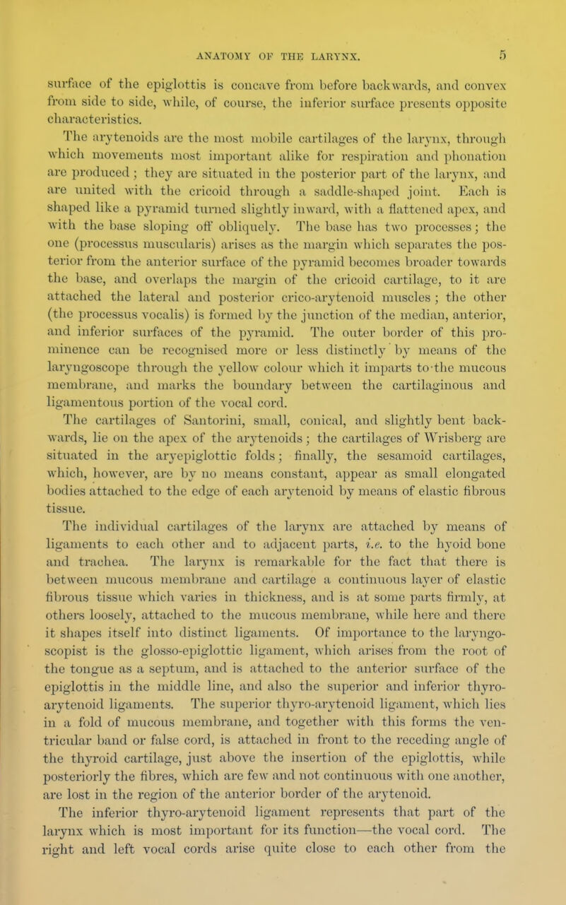 surface of the epiglottis is concave from before backwards, and convex from side to side, while, of course, the inferior surface presents opposite characteristics. The arytenoids are the most mobile cartilages of the larynx, through which movements most important alike for respiration and phonation are produced; they are situated in the posterior part of the larynx, and are united with the cricoid through a saddle-shaped joint. Each is shaped like a pyramid turned slightly inward, with a flattened apex, and with the base sloping 0ff obliquely. The base has two processes; the one (processus muscularis) arises as the margin which separates the pos- terior from the anterior surface of the pyramid becomes broader towards the base, and overlaps the margin of the cricoid cartilage, to it are attached the lateral and posterior crico-arytenoid muscles ; the other (the processus vocalis) is formed by the junction of the median, anterior, and inferior surfaces of the pyramid. The outer border of this pro- minence can be recognised more or less distinctly by means of the laryngoscope through the yellow colour which it imparts to-the mucous membrane, and marks the boundary between the cartilaginous and ligamentous portion of the vocal cord. The cartilages of Santorini, small, conical, and slightly bent back- wards, lie on the apex of the arytenoids; the cartilages of Wrisberg are situated in the aryepiglottic folds; finally, the sesamoid cartilages, which, however, are by no means constant, appear as small elongated bodies attached to the edge of each arytenoid by means of elastic fibrous tissue. The individual cartilages of the larynx are attached by means of ligaments to each other and to adjacent parts, i.e. to the hyoid bone and trachea. The larynx is remarkable for the fact that there is between mucous membrane and cartilage a continuous layer of elastic fibrous tissue which varies in thickness, and is at some parts firmly, at others loosely, attached to the mucous membrane, while here and there it shapes itself into distinct ligaments. Of importance to the laryngo- scopist is the glosso-epiglottic ligament, which arises from the root of the tongue as a septum, and is attached to the anterior surface of the epiglottis in the middle line, and also the superior and inferior thyro- arytenoid ligaments. The superior thyro-arytenoid ligament, which lies in a fold of mucous membrane, and together with this forms the ven- tricular band or false cord, is attached in front to the receding angle of the thyroid cartilage, just above the insertion of the epiglottis, while posteriorly the fibi-es, which are few and not continuous with one another, are lost in the region of the anterior border of the arytenoid. The inferior thyro-arytenoid ligament represents that part of the larynx which is most important for its function—the vocal cord. The right and left vocal cords arise quite close to each other from the
