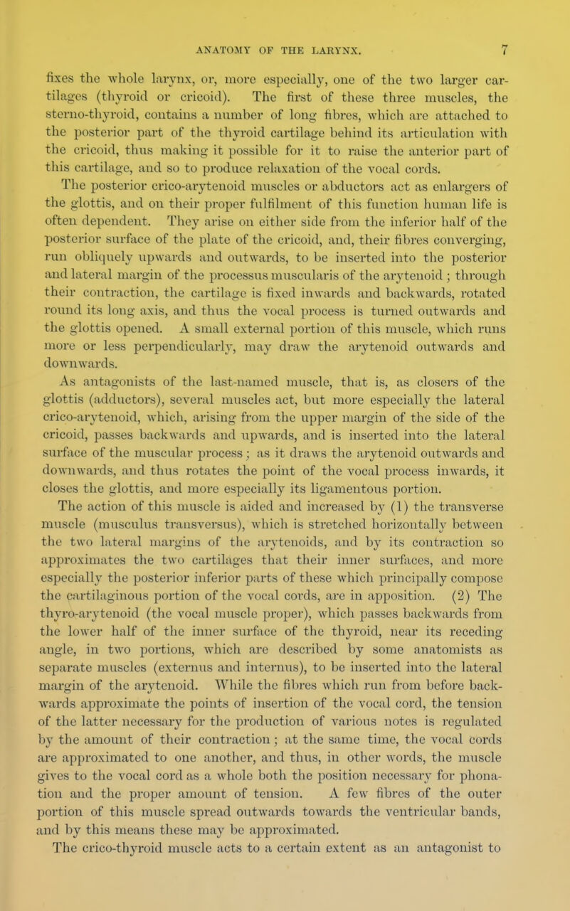fixes the whole larynx, or, more especially, one of the two larger car- tilages (thyroid or cricoid). The first of these three muscles, the sterno-thyroid, contains a number of long fibres, which are attached to the posterior part of the thyroid cartilage behind its articulation with the cricoid, thus making it possible for it to raise the anterior part of this cartilage, and so to produce relaxation of the vocal cords. The posterior crico-arytenoid muscles or abductors act as enlargers of the glottis, and on their proper fulfilment of this function human life is often dependent. They arise on either side from the inferior half of the posterior surface of the plate of the cricoid, and, their fibres converging, run obliquely upwards and outwards, to be inserted into the posterior and lateral margin of the processus nmscularis of the arytenoid ; through their contraction, the cartilage is fixed inwards and backwards, rotated round its long axis, and thus the vocal process is turned outwards and the glottis opened. A small external portion of this muscle, which runs more or less perpendicularly, may draw the arytenoid outwards and downwards. As antagonists of the last-named muscle, that is, as closers of the glottis (adductors), several muscles act, but more especially the lateral crico-arytenoid, which, arising from the upper margin of the side of the cricoid, passes backwards and upwards, and is inserted into the lateral surface of the muscular process ; as it draws the arytenoid outwards and downwards, and thus rotates the point of the vocal process inwards, it closes the glottis, and more especially its ligamentous portion. The action of this muscle is aided and increased by (1) the transverse muscle (musculus transversus), which is stretched horizontally between the two lateral margins of the arytenoids, and by its contraction so approximates the two cartilages that their inner surfaces, and more especially the posterior inferior parts of these which principally compose the cartilaginous portion of the vocal cords, are in apposition. (2) The thyroarytenoid (the vocal muscle proper), which passes backwards from the lower half of the inner surface of the thyroid, near its receding angle, in two portions, which are described by some anatomists as separate muscles (externus and interims), to be inserted into the lateral margin of the arytenoid. While the fibres which run from before back- wards approximate the points of insertion of the vocal cord, the tension of the latter necessary for the production of various notes is regulated by the amount of their contraction; at the same time, the vocal cords are approximated to one another, and thus, in other words, the muscle gives to the vocal cord as a whole both the position necessary for phona- tion and the proper amount of tension. A few fibres of the outer portion of this muscle spread outwards towards the ventricular bands, and by this means these may be approximated. The crico-thyroid muscle acts to a certain extent as an antagonist to