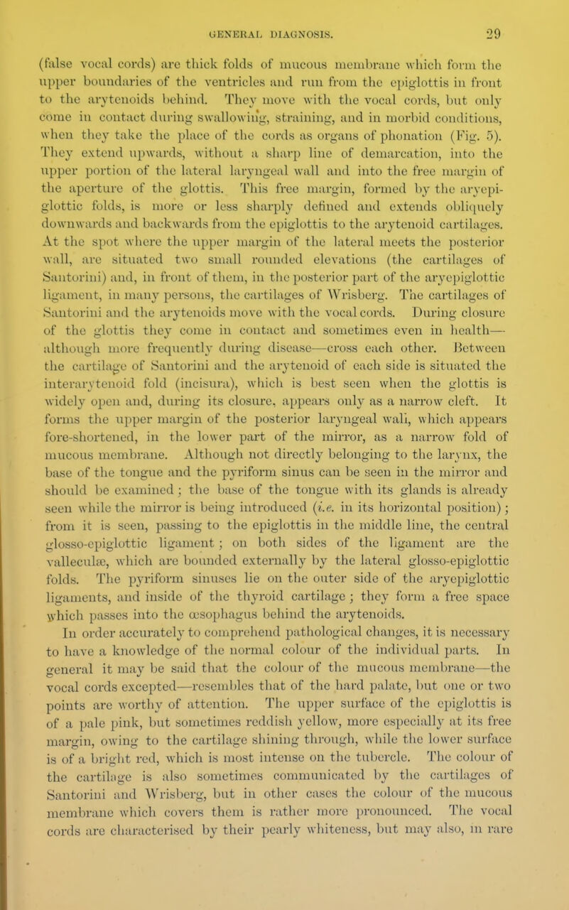(false vocal cords) arc thick folds of mucous membrane which form the upper boundaries of the ventricles and run from the epiglottis in front to the arytenoids behind. They move with the vocal cords, but only come in contact during swallowing, straining, and in morbid conditions, when they take the place of the cords as organs of phonation (Fig. -r)). They extend upwards, without a sharp line of demarcation, into the upper portion of the lateral laryngeal wall and into the free margin of the aperture of the glottis. This free margin, formed by the aryepi- glottic folds, is more or less sharply defined and extends obliquely downwards and backwards from the epiglottis to the arytenoid cartilages. At the spot where the upper margin of the lateral meets the posterior wall, are situated two small rounded elevations (the cartilages of Santorini) and, in front of them, in the posterior part of the arycpiglottic ligament, in many persons, the cartilages of Wrisberg. The cartilages of Santorini and the arytenoids move with the vocal cords. During closure of the glottis they come in contact and sometimes even in health— although more frequently during disease—cross each other. J3etween the cartilage of Santorini and the arytenoid of each side is situated the interarytenoid fold (incisura), which is best seen when the glottis is widely open and, during its closure, appears only as a narrow cleft. It forms the \ipper margin of the posterior laryngeal wall, which appears fore-shortened, in the lower part of the mirror, as a narrow fold of mucous membrane. Although not directly belonging to the larynx, the base of the tongue and the pyriform sinus can be seen in the mirror and should be examined : the base of the tongue with its glands is already seen while the mirror is being introduced (i.e. in its horizontal position); from it is seen, passing to the epiglottis in the middle line, the central glosso-epiglottic ligament ; on both sides of the ligament are the vallecula;, which are bounded externally by the lateral glosso-epiglottic folds. The pyriform sinuses lie on the outer side of the arycpiglottic ligaments, and inside of the thyroid cartilage ; they form a free space which passes into the oesophagus behind the arytenoids. In order accurately to comprehend pathological changes, it is necessary to have a knowledge of the normal colour of the individual parts. In general it may be said that the colour of the mucous membrane—the vocal cords excepted—resembles that of the hard palate, but one or two points are worthy of attention. The upper surface of the epiglottis is of a pale pink, but sometimes reddish yellow, more especially at its free margin, owing to the cartilage shining through, while the lower surface is of a bright red, which is most intense on the tubercle. The colour of the cartilage is also sometimes communicated by the cartilages of Santorini and Wrisberg, but in other cases the colour of the mucous membrane which covers them is rather more pronounced. The vocal cords are characterised by their pearly whiteness, but may also, m rare