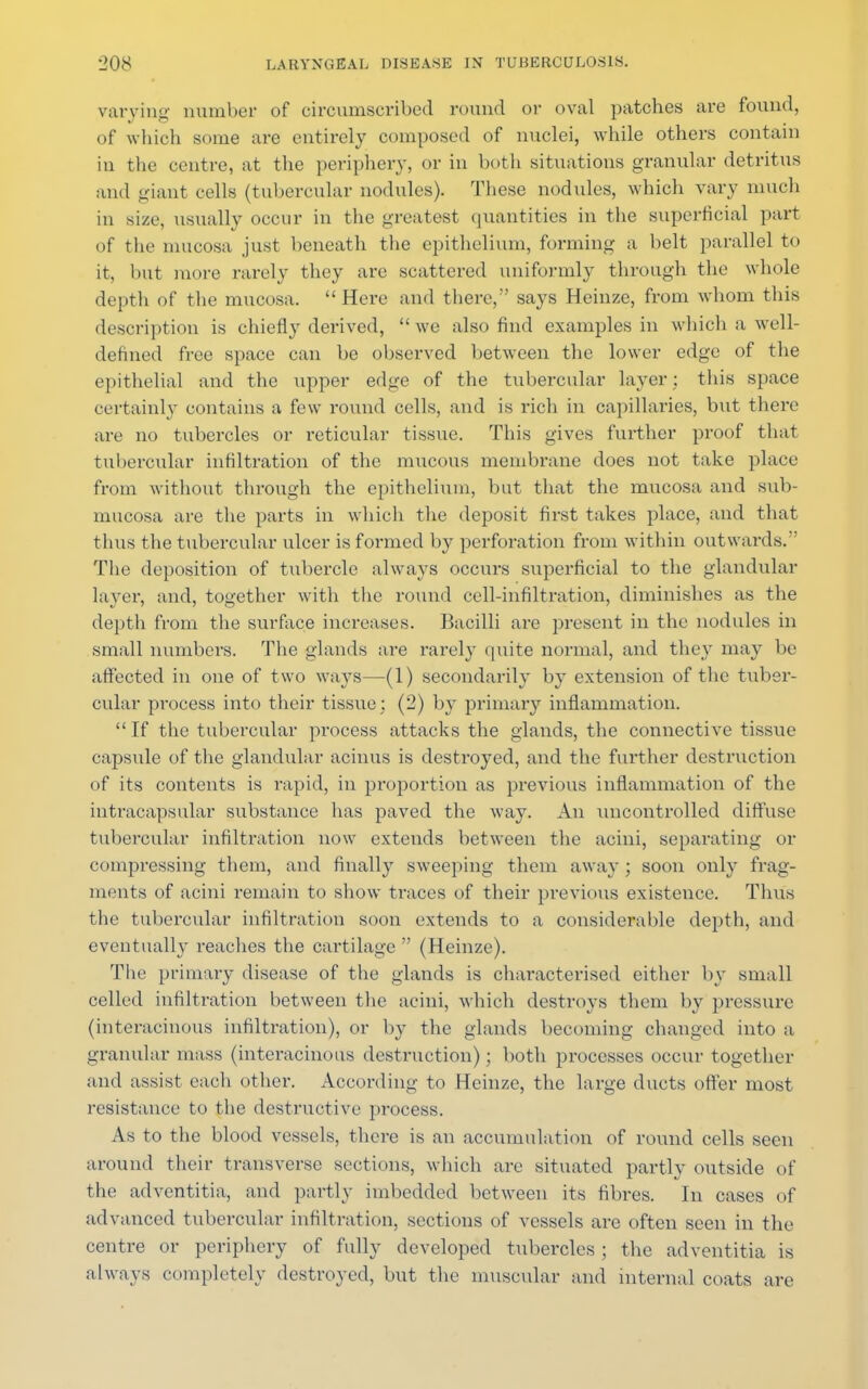 varying number of circumscribed round or oval patches are found, of which some are entirely composed of nuclei, while others contain in the centre, at the periphery, or in both situations granular detritus and giant cells (tubercular nodules). These nodules, which vary much in size, usually occur in the greatest quantities in the superficial part of the mucosa just beneath the epithelium, forming a belt parallel to it, but more rarely they are scattered uniformly through the whole depth of the mucosa.  Here and there, says Heinze, from whom this description is chiefly derived, we also find examples in which a well- defined free space can be observed between the lower edge of the epithelial and the upper edge of the tubercular layer: this space certainly contains a few round cells, and is rich in capillaries, but there are no tubercles or reticular tissue. This gives further proof that tubercular infiltration of the mucous membrane does not take place from without through the epithelium, but that the mucosa and sub- mucosa are the parts in which the deposit first takes place, and that thus the tubercular ulcer is formed by perforation from within outwards. The deposition of tubercle always occurs superficial to the glandular layer, and, together with the round cell-infiltration, diminishes as the depth from the surface increases. Bacilli are present in the nodules in small numbers. The glands are rarely quite normal, and they may be affected in one of t wo ways—(1) secondarily by extension of the tuber- cular process into their tissue : (2) by primary inflammation.  If the tubercular process attacks the glands, the connective tissue capsule of the glandular acinus is destroyed, and the further destruction of its contents is rapid, in proportion as previous inflammation of the intracapsular substance has paved the way. An uncontrolled diffuse tubercular infiltration now extends between the acini, separating or compressing them, and finally sweeping them away; soon only frag- ments of acini remain to show traces of their previous existence. Thus the tubercular infiltration soon extends to a considerable depth, and eventually reaches the cartilage  (Heinze). The primary disease of the glands is characterised either by small celled infiltration between the acini, which destroys them by pressure (interacinous infiltration), or by the glands becoming changed into a granular mass (interacinous destruction); both processes occur together and assist each other. According to Heinze, the large ducts offer most resistance to the destructive process. As to the blood vessels, there is an accumulation of round cells seen around their transverse sections, which are situated partly outside of the adventitia, and partly imbedded between its fibres. In cases of advanced tubercular infiltration, sections of vessels are often seen in the centre or periphery of fully developed tubercles ; the adventitia is always completely destroyed, but the muscular and internal coats are