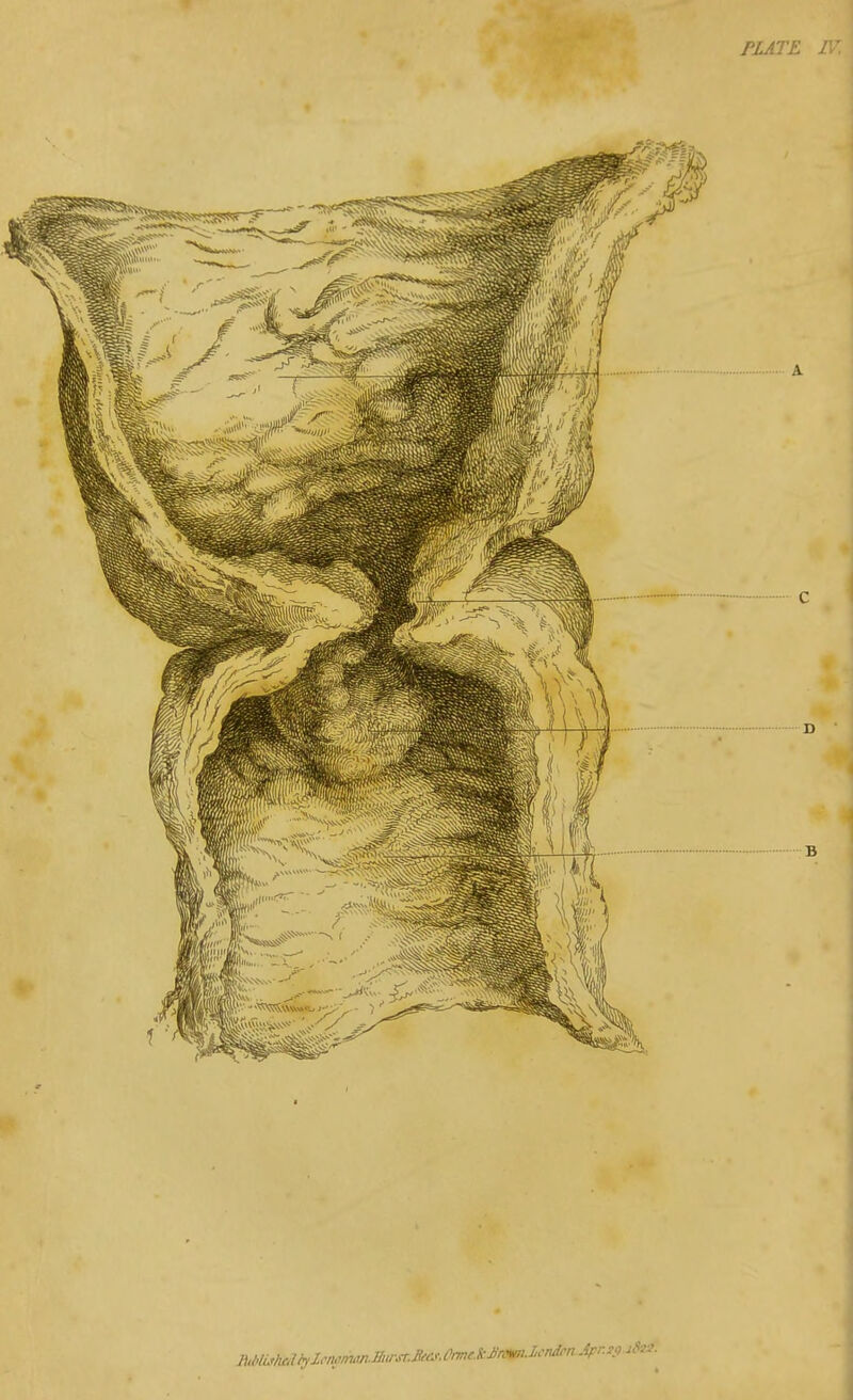 PLATE I\