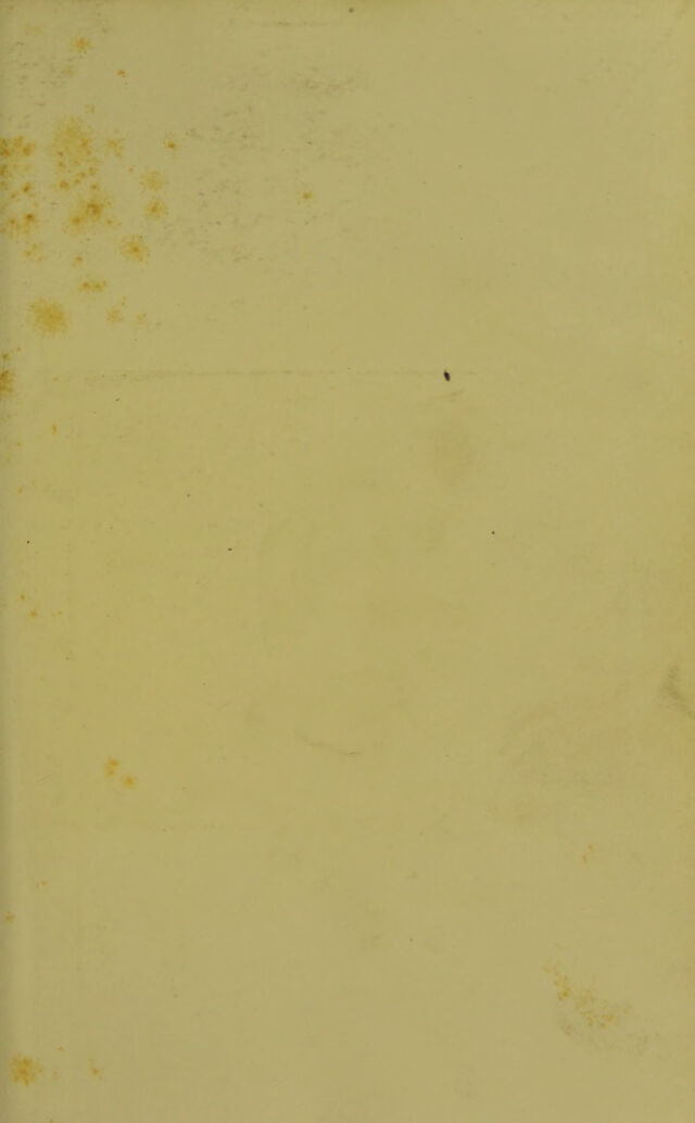 digitised image 3