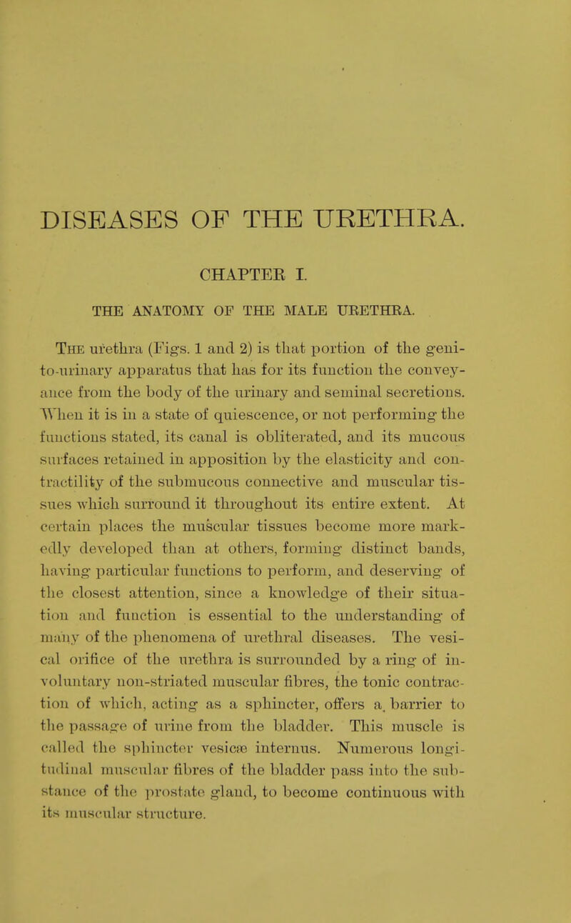 DISEASES OF THE URETHRA. CHAPTEK I THE ANATOMY OF THE MALE URETHRA. The urethra (Figs. 1 and 2) is that portion of the geni- to-urinary apparatus that has for its function the convey- ance from the body of the urinary and seminal secretions. When it is in a state of quiescence, or not performing the functions stated, its canal is obliterated, and its mucous surfaces retained in apposition by the elasticity and con- tractility of the submucous connective and muscular tis- sues which surround it throughout its entire extent. At certain places the muscular tissues become more mark- edly developed than at others, forming distinct bands, having particular functions to perform, and deserving of the closest attention, since a knowledge of their situa- tion and function is essential to the understanding of many of the phenomena of urethral diseases. The vesi- cal orifice of the urethra is surrounded by a ring of in- voluntary non-striated muscular fibres, the tonic contrac- tion of which, acting as a sphincter, offers a, barrier to the passage of urine from the bladder. This muscle is called the sphincter vesicRB interims. Numerous longi tudinal muscular fibres of the bladder pass into the sub- stance of the prostate gland, to become continuous with its muscular structure.