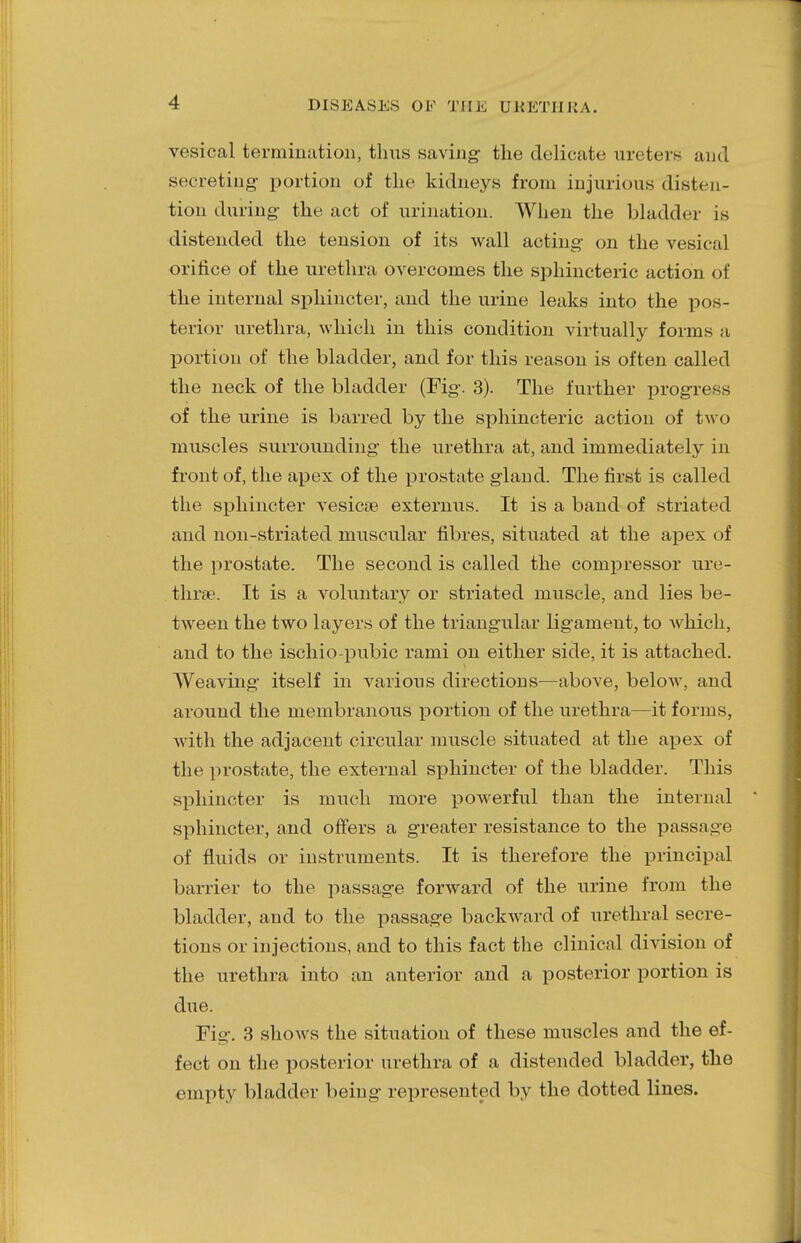 vesical termination, thus saving- the delicate ureters and secreting- portion of the kidneys from injurious disten- tion during the act of urination. When the bladder is distended the tension of its wall acting on the vesie;il orifice of the urethra overcomes the sphincteric action of the internal sphincter, and the urine leaks into the pos- terior urethra, which in this condition virtually forms u portion of the bladder, and for this reason is often called the neck of the bladder (Fig. 3). The further progress of the urine is barred by the sphincteric action of two muscles surrounding the urethra at, and immediately in front of, the apex of the prostate gland. The first is called the sphincter vesica? externus. It is a band of striated and non-striated muscular fibres, situated at the apex of the prostate. The second is called the compressor ure- thra?. It is a voluntary or striated muscle, and lies be- tween the two layers of the triangular ligament, to which, and to the ischio-pubic rami on either side, it is attached. Weaving itself in various directions—above, below, and around the membranous portion of the urethra—it forms, with the adjacent circular muscle situated at the apex of the prostate, the external sphincter of the bladder. This sphincter is much more powerful than the internal sphincter, and offers a greater resistance to the passim <■ of fluids or instruments. It is therefore the principal barrier to the passage forward of the urine from the bladder, and to the passage backward of urethral secre- tions or injections, and to this fact the clinical division of the urethra into an anterior and a posterior portion is due. Fie;. 3 shows the situation of these muscles and the ef- fect on the posterior urethra of a distended bladder, the empty bladder being represented by the dotted lines.