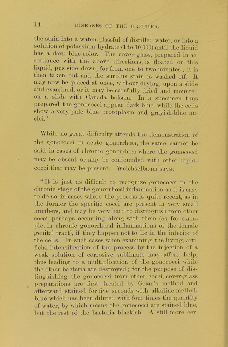 the stain into a wateh-glassful of distilled water, or into a solution of potassium hydrate (1 to 10,000) until the liquid has a dark blue color. The cover-glass, prepared in ac- cprdance with the above directions, is floated on this liquid, pus side down, for from one to two minutes ; it is then taken out and the surplus stain is washed off. It may now be placed at once, without drying, upon a slide and examined, or it may be carefully dried and mounted on a slide with Canada balsam. In a specimen thus prepared the gonococci appear dark blue, while the cells show a very pale blue protoplasm and grayish-blue nu- clei. While no great difficulty attends the demonstration of the gonococci in acute gonorrhoea, the same cannot be said in cases of chronic gonorrhoea where the gonococci may be absent or may be confounded with other diplo- cocci that may be present. Weichselbaum says: It is just as difficult to recognize gonococci in the chronic stage of the gonorrhceal inflammation as it is easy to do so in cases where the process is quite recent, as in the former the specific cocci are present in very small numbers, and may be very hard to distinguish from other cocci, perhaps occurring along with them (as, for exam- ple, in chronic gonorrhosal inflammations of the female genital tract), if they happen not to lie in the interior of the cells. In such cases when examining the living, arti- ficial intensification of the process by the injection of a weak solution of corrosive sublimate may afford help, thus leading to a multiplication of the gonococci while the other bacteria are destroyed ; for the purpose of dis- tinguishing the gonococci from other cocci, cover-glass preparations are first treated by Gram's method and afterward stained for five seconds with alkaline methyl - blue which has been diluted with four times the quantity of water, by which means the gonococci are stained blue, but the rest of the bacteria blackish. A still more cer-