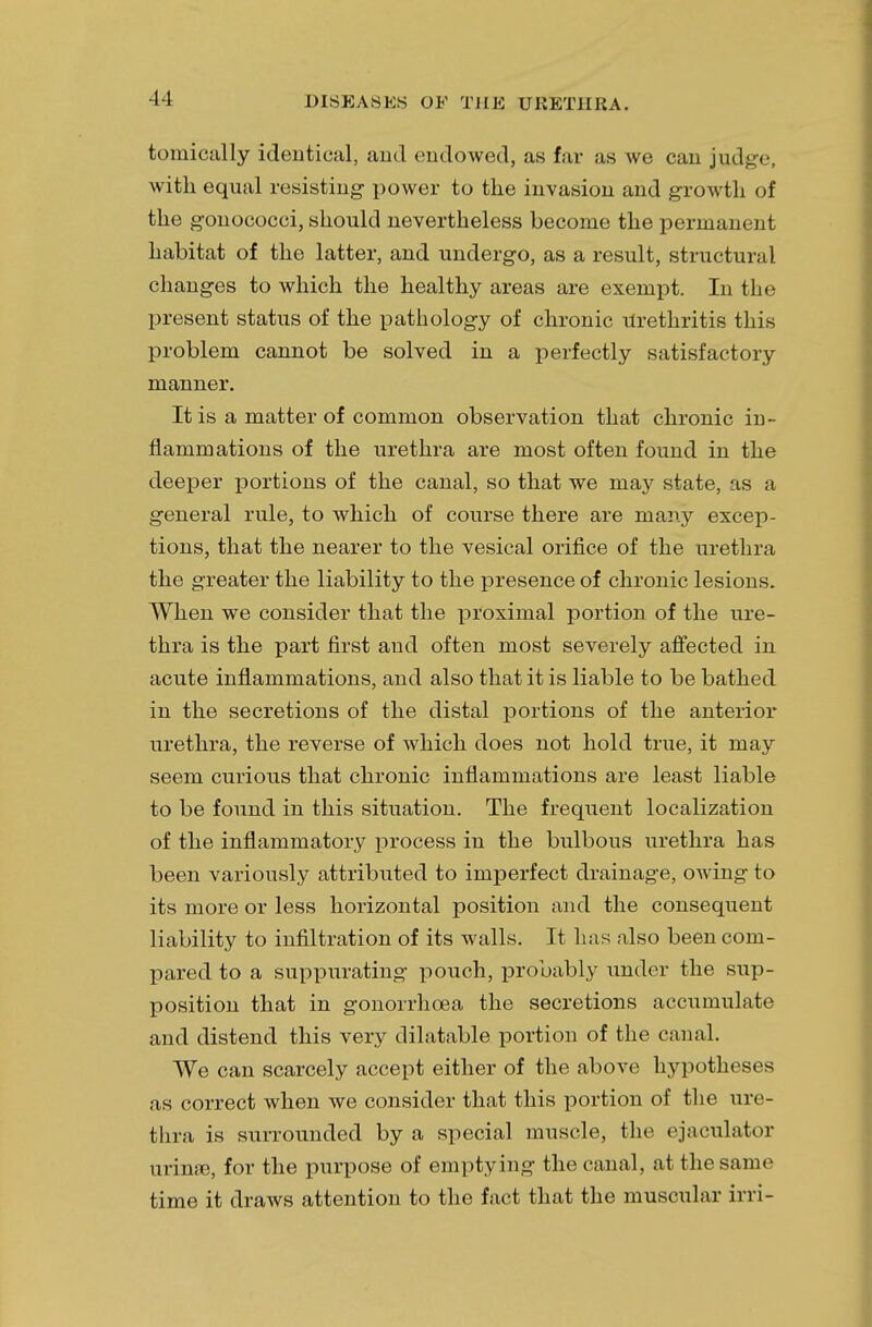 tomically identical, and endowed, as far as we can judge, with equal resisting iiower to the invasion and growth of the gonococci, should nevertheless become the permanent habitat of the latter, and undergo, as a result, structural changes to which the healthy areas are exempt. In the present status of the pathology of chronic Urethritis this problem cannot be solved in a perfectly satisfactory manner. It is a matter of common observation that chronic in- flammations of the urethra are most often found in the deeper portions of the canal, so that we may state, as a general rule, to which of course there are many excep- tions, that the nearer to the vesical orifice of the urethra the greater the liability to the presence of chronic lesions. When we consider that the proximal portion of the ure- thra is the part first and often most severely affected in acute inflammations, and also that it is liable to be bathed in the secretions of the distal portions of the anterior urethra, the reverse of which does not hold true, it may seem curious that chronic inflammations are least liable to be found in this situation. The frequent localization of the inflammatory process in the bulbous urethra has been variously attributed to imperfect drainage, owing to its more or less horizontal position and the consequent liability to infiltration of its walls. It lias also been com- pared to a suppurating pouch, probably under the sup- position that in gonorrhoea the secretions accumulate and distend this very dilatable portion of the canal. We can scarcely accept either of the above hypotheses as correct when we consider that this portion of the ure- thra is surrounded by a special muscle, the ejaculate »r urinse, for the purpose of emptying the canal, at the same time it draws attention to the fact that the muscular irri-