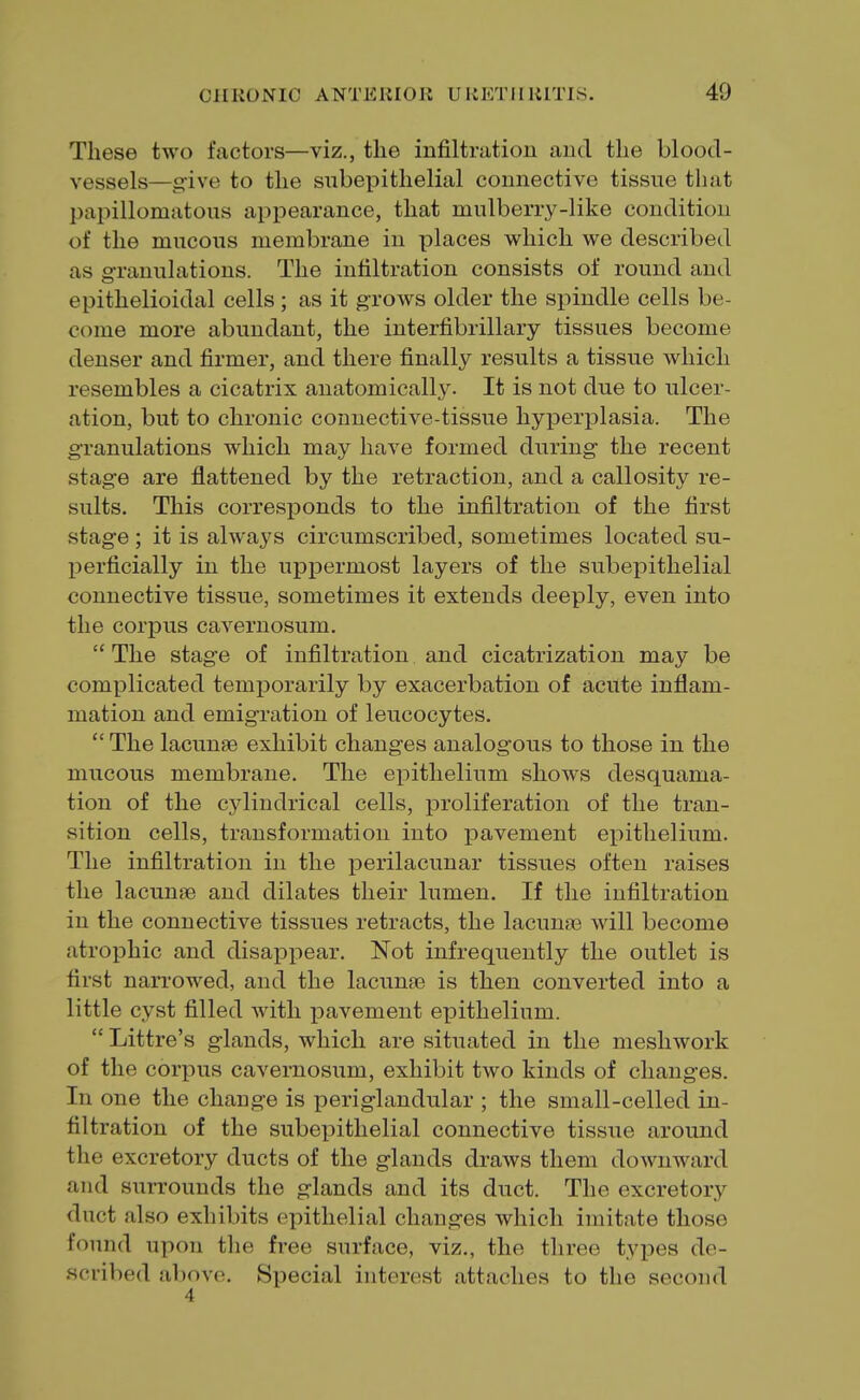 These two factors—viz., the infiltration and the blood- vessels—give to the subepithelial connective tissue that papillomatous appearance, that mulberry-like condition of the mucous membrane in places which we described as granulations. The infiltration consists of round and epithelioidal cells ; as it grows older the spindle cells be- come more abundant, the interfibrillary tissues become denser and firmer, and there finally results a tissue which resembles a cicatrix anatomically. It is not due to ulcer- ation, but to chronic connective-tissue hyperplasia. The granulations which may have formed during the recent stage are flattened by the retraction, and a callosity re- sults. This corresponds to the infiltration of the first stage ; it is always circumscribed, sometimes located su- perficially in the uppermost layers of the subepithelial connective tissue, sometimes it extends deeply, even into the corpus cavernosum.  The stage of infiltration and cicatrization may be complicated temporarily by exacerbation of acute inflam- mation and emigration of leucocytes.  The lacunae exhibit changes analogous to those in the mucous membrane. The epithelium shows desquama- tion of the cylindrical cells, proliferation of the tran- sition cells, transformation into pavement epithelium. The infiltration in the perilacunar tissues often raises the lacunae and dilates their lumen. If the infiltration in the connective tissues retracts, the lacunas will become atrophic and disappear. Not infrequently the outlet is first narrowed, and the lacunae is then converted into a little cyst filled with pavement epithelium.  Littre's glands, which are situated in the meshwork of the corpus cavernosum, exhibit two kinds of changes. Tn one the change is periglandular ; the small-celled in- filtration of the subepithelial connective tissue around the excretory ducts of the glands draws them downward and surrounds the glands and its duct. The excretory duct also exhibits epithelial changes which imitate those found upon the free surface, viz., the three types de- scribed above. Special interest attaches to the second