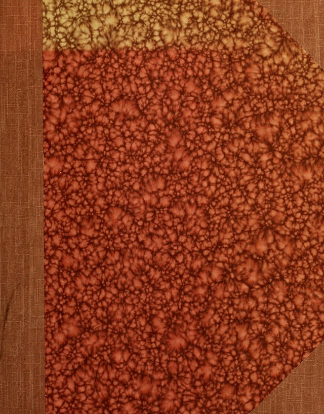 digitised image 1