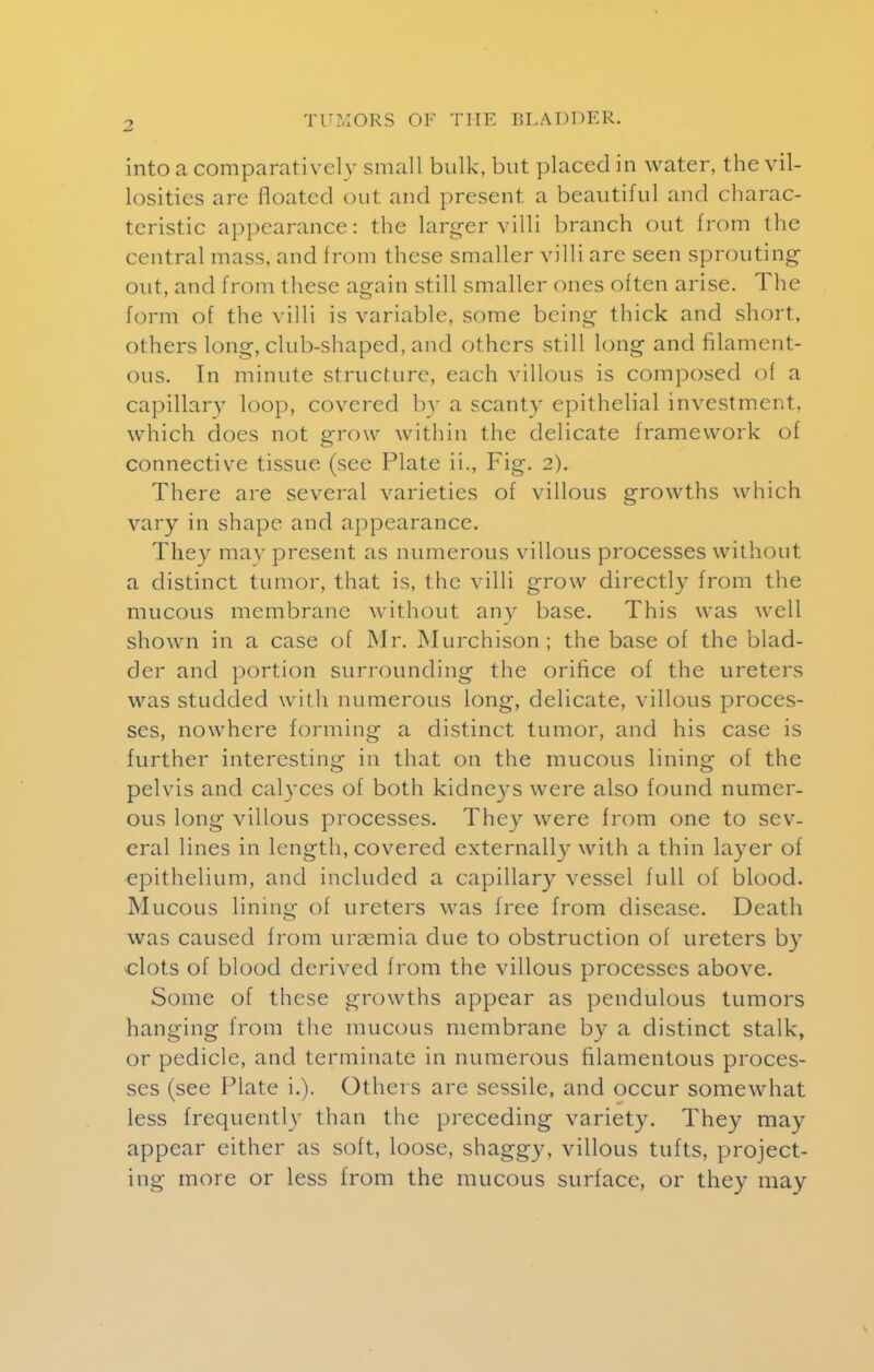 into a comparatively small bulk, but placed in water, the vil- losities are floated out and present a beautiful and charac- teristic appearance: the larger villi branch out from the central mass, and from these smaller villi are seen sprouting out, and from these again still smaller ones often arise. The form of the villi is variable, some being thick and short, others long, club-shaped, and others still long and filament- ous. In minute structure, each villous is composed of a capillar}' loop, covered by a scanty epithelial investment, which does not grow within the delicate framework of connective tissue (see Plate ii., Fig. 2). There are several varieties of villous growths which vary in shape and appearance. They may present as numerous villous processes without a distinct tumor, that is, the villi grow directly from the mucous membrane without any base. This was well shown in a case of Mr. Murchison; the base of the blad- der and portion surrounding the orifice of the urete rs was studded with numerous long, delicate, villous proces- ses, nowhere forming a distinct tumor, and his case is further interesting in that on the mucous lining of the pelvis and calyces of both kidneys were also found numer- ous long villous processes. They were from one to sev- eral lines in length, covered externally with a thin layer of epithelium, and included a capillary vessel full of blood. Mucous lining of ureters was free from disease. Death was caused from uraemia due to obstruction of ureters by -clots of blood derived from the villous processes above. Some of these growths appear as pendulous tumors hanging from the mucous membrane by a distinct stalk, or pedicle, and terminate in numerous filamentous proces- ses (see Plate i.). Others are sessile, and occur somewhat less frequently than the preceding variety. They may appear either as soft, loose, shaggy, villous tufts, project- ing more or less from the mucous surface, or they may