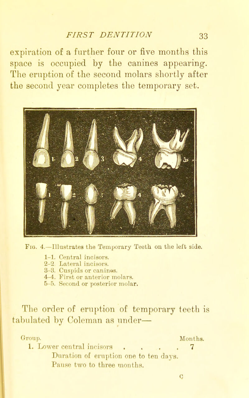 expiration of a further four or five months this space is occupied by the canines appearing. The eruption of the second molars shortly after the second year completes the temporary set. Fio. 4.—Illustrates the Temporary Teeth on the left side. 1- 1. Central incisors. 2- 2 Lateral incisors. 3- 3. Cuspids or canines. 4- 4. First or anterior molars. 5- 5. Second or posterior molar. The order of eruption of temporary teeth is tabulated by Coleman as under— Group. Months. 1. Lower central incisors .... 7 Duration of ernption one to ten dn3'9. Pause two to three months.