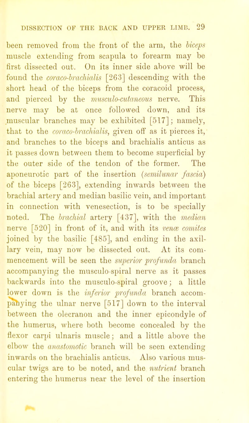 been removed from the front of the arm, the biceps muscle extending from scapula to forearm may be first dissected out. On its inner side above will be found the coraco-brachialis [263] descending with the short head of the biceps from the coracoid process, and pierced by the musculo-cutaneous nerve. This nerve may be at once followed down, and its muscular branches may be exhibited [517]; namely, that to the coraco-brachialis, given off as it pierces it, and branches to the biceps and brachialis anticus as it passes down between them to become superficial by the outer side of the tendon of the former. The aponeurotic part of the insertion (semilunar fascia) of the biceps [263], extending inwards between the brachial artery and median basilic vein, and important in connection with venesection, is to be specially noted. The brachial artery [437], with the median nerve [520] in front of it, and with its vena} comites joined by the basilic [485], and ending in the axil- lary vein, may now be dissected out. At its com- mencement will be seen the superior profunda branch accompanying the musculo-spiral nerve as it passes backwards into the musculo-spiral groove; a little lower down is the inferior profunda branch accom- panying the ulnar nerve [517] down to the interval between the olecranon and the inner epicondyle of the humerus, where both become concealed by the flexor carpi ulnaris muscle; and a little above the elbow the anastomotic branch will be seen extending inwards on the brachialis anticus. Also various mus- cular twigs are to be noted, and the nutrient branch entering the humerus near the level of the insertion